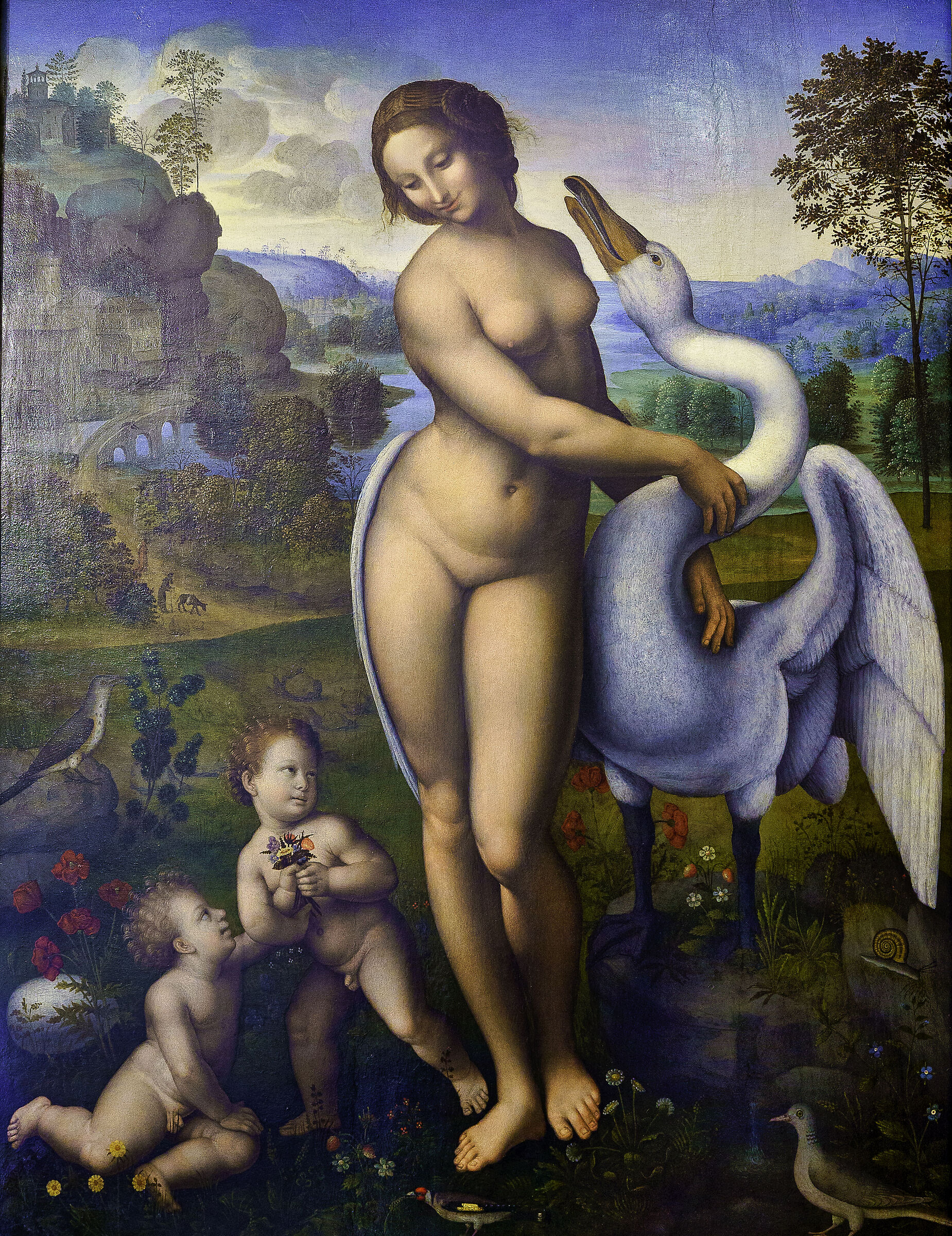 Leda