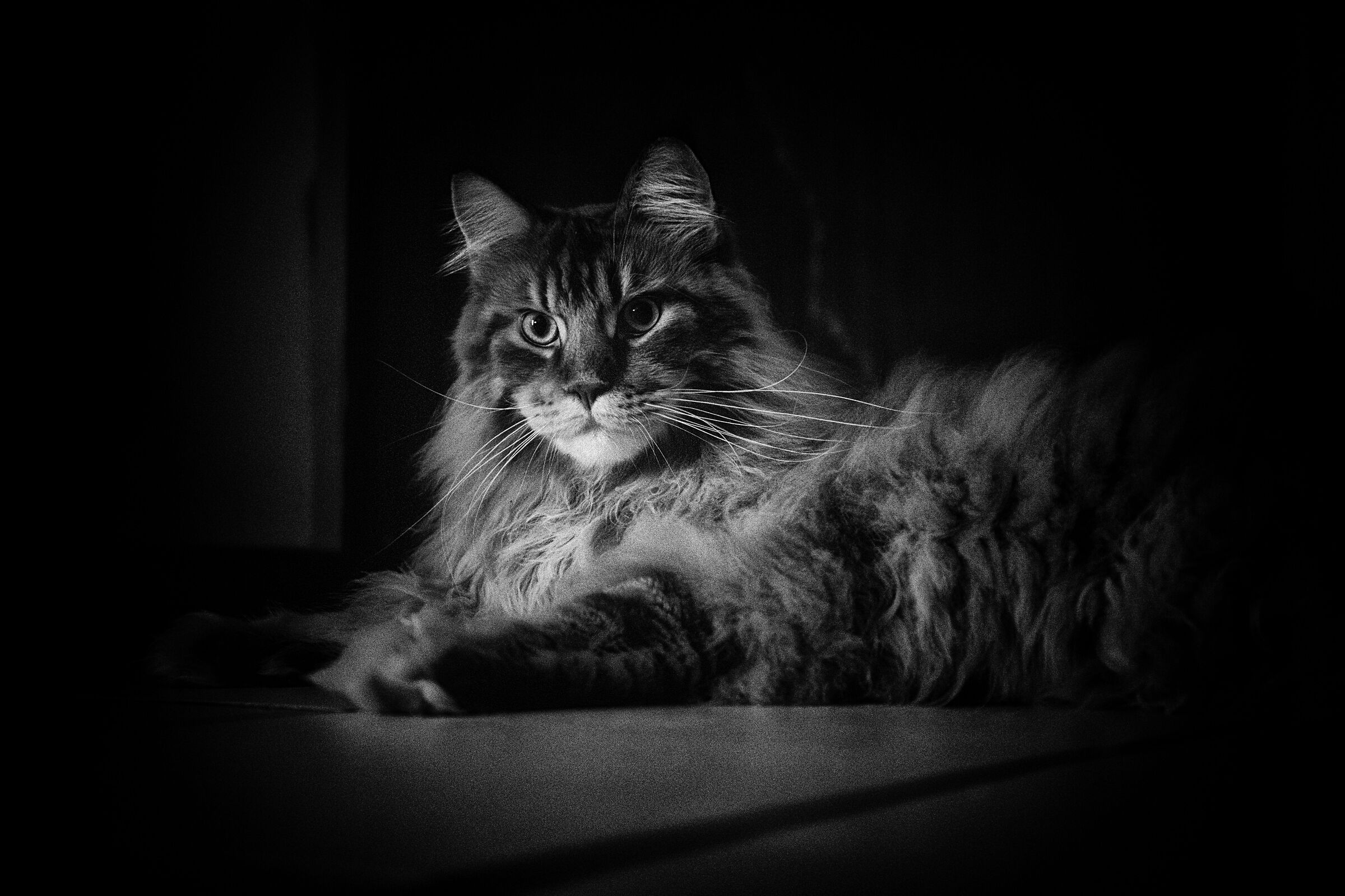 Firestorm X-Land.... for us Theodore