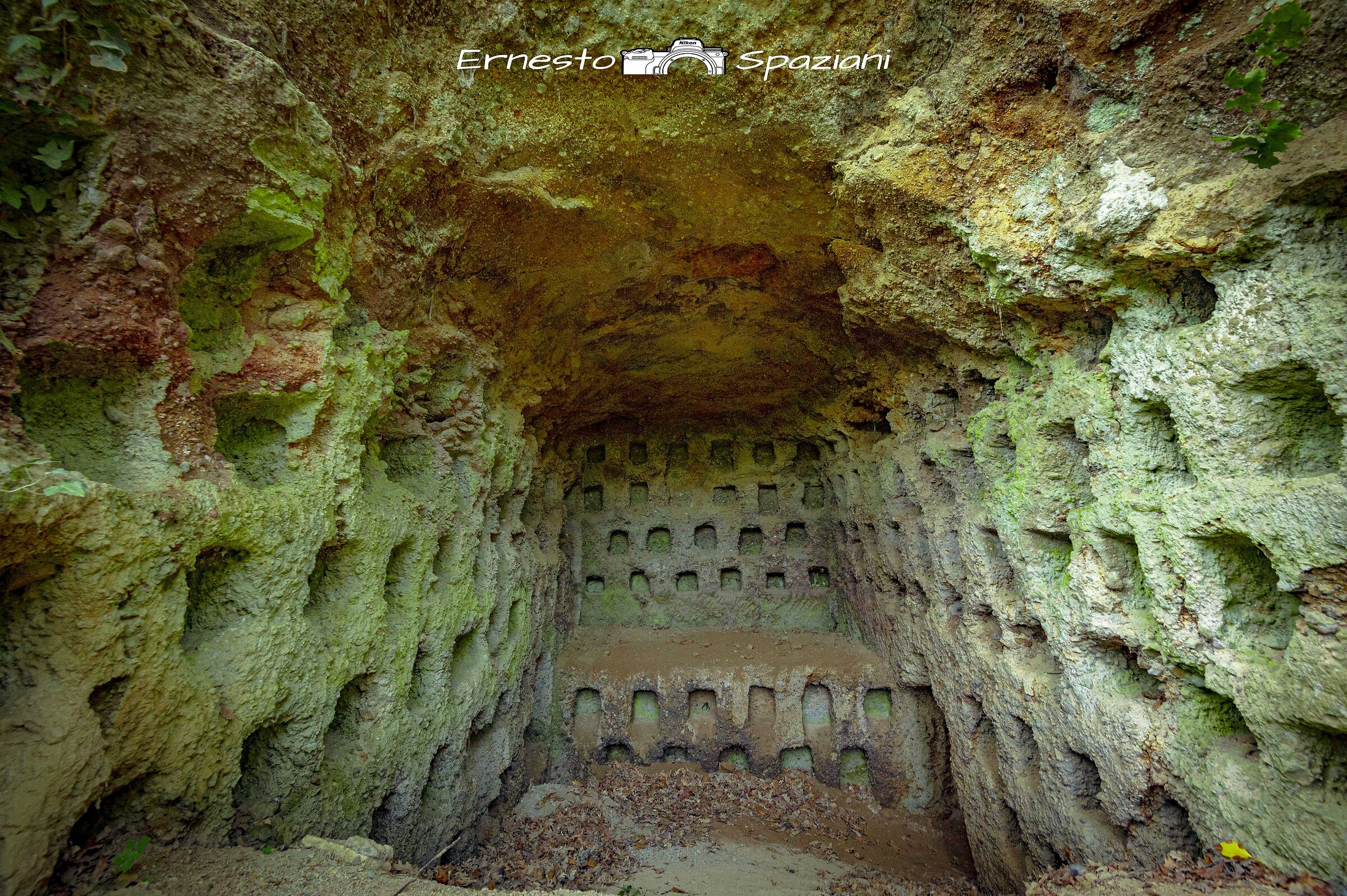 il barco dei farnese tra caprarola e ronciglione