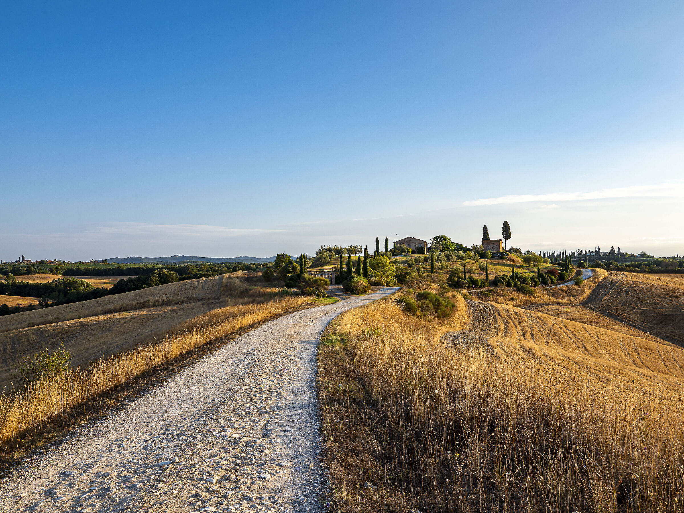 Crete Senesi: farm