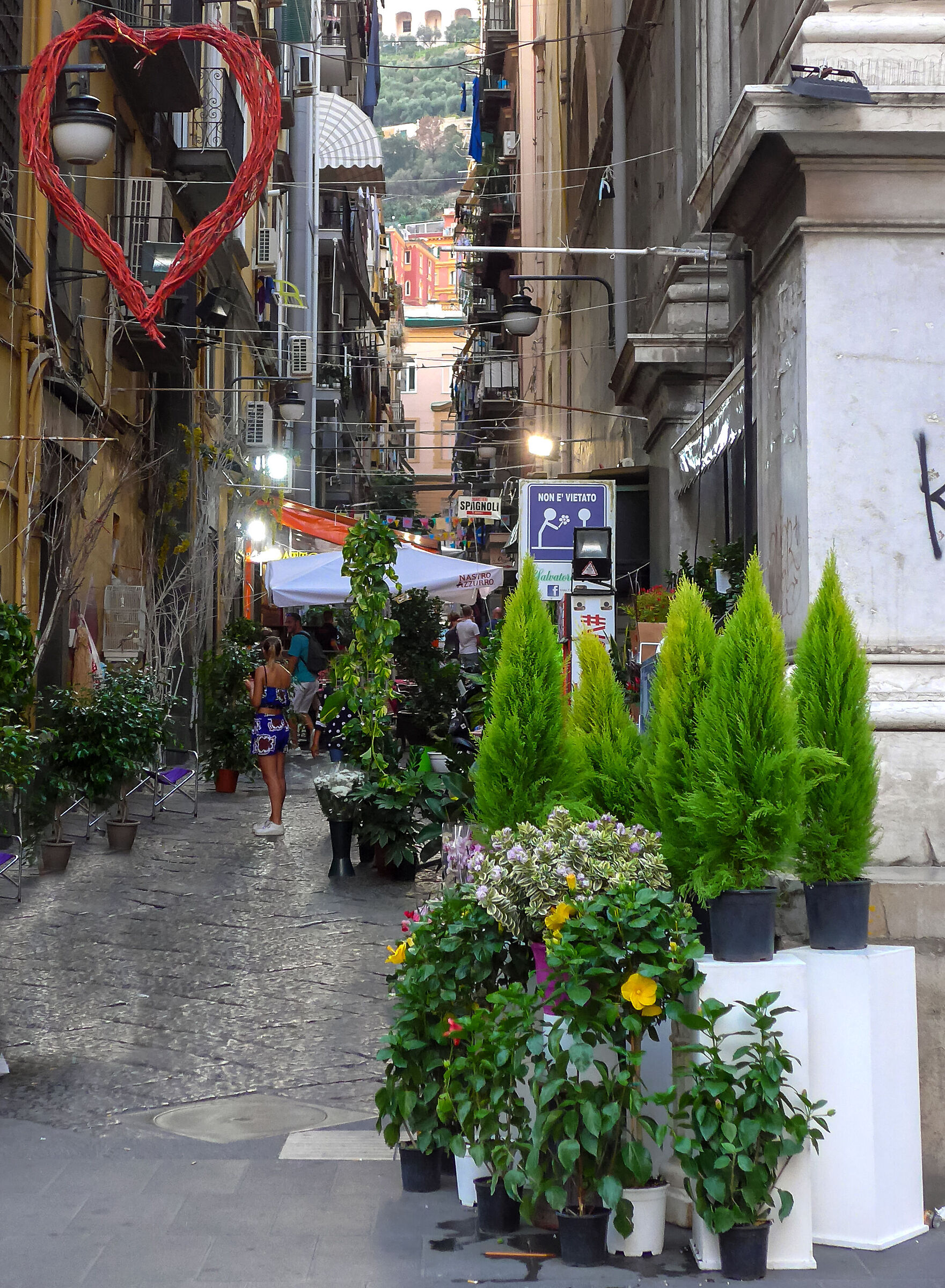 Non é vietato donare fiori...