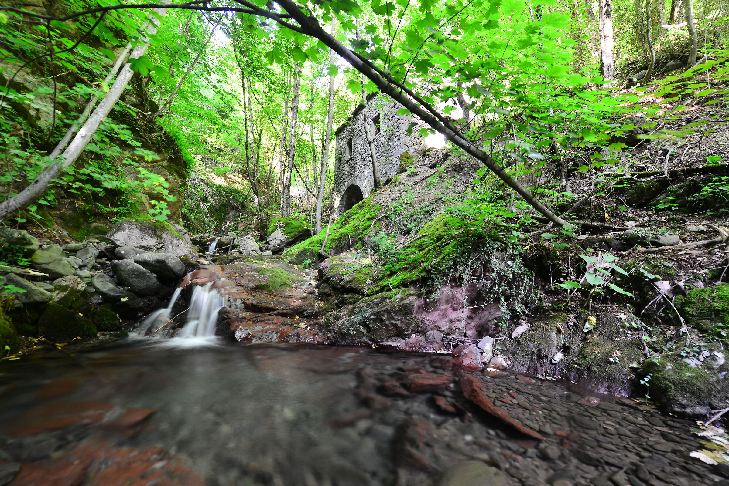 Trauri River
