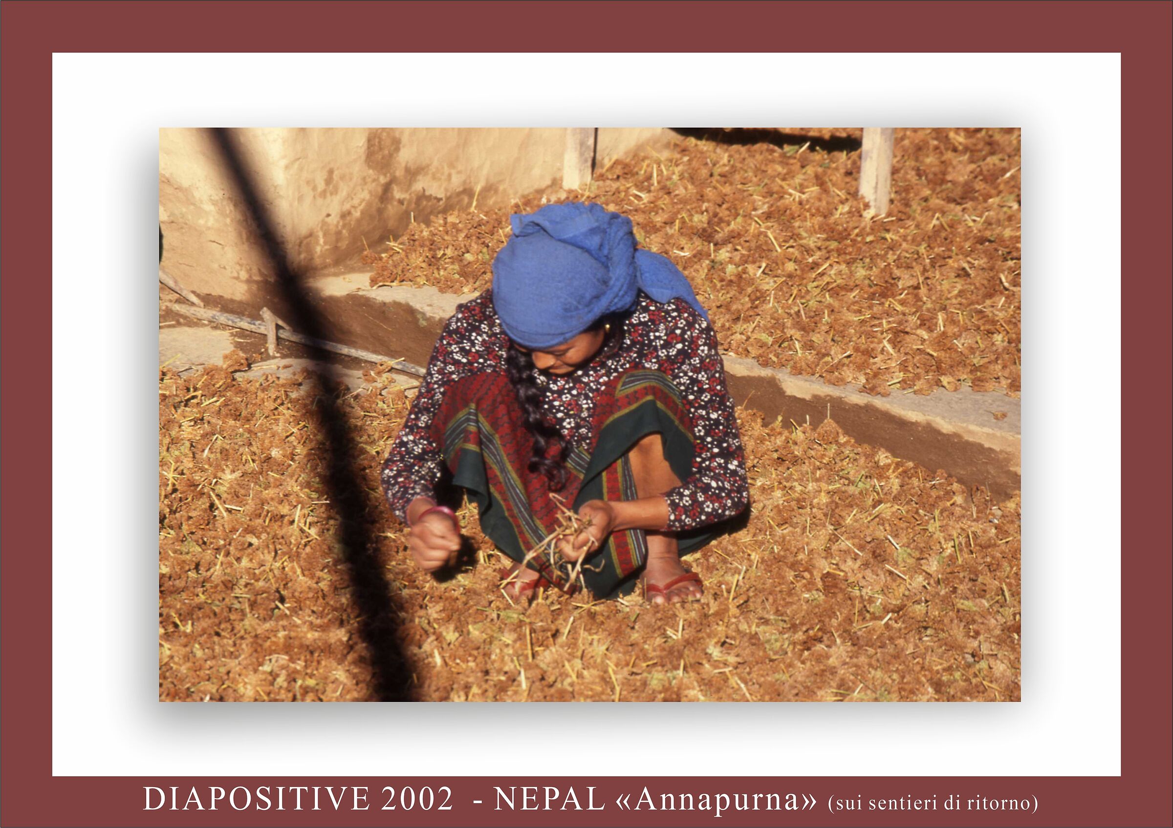 mondatura del miglio