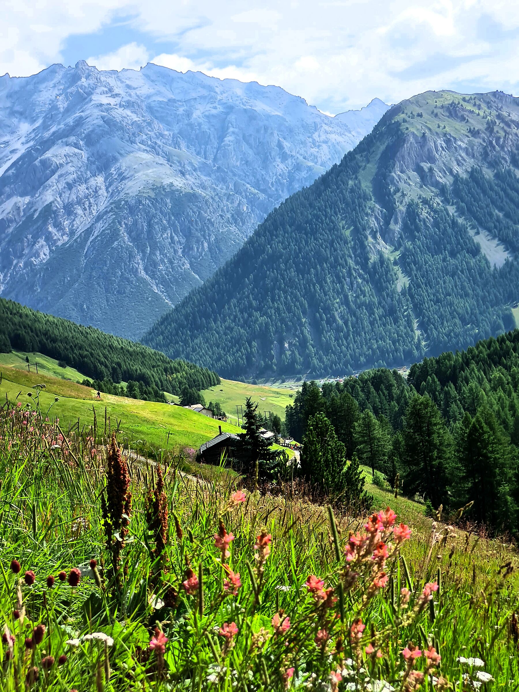 Scorcio val Federia