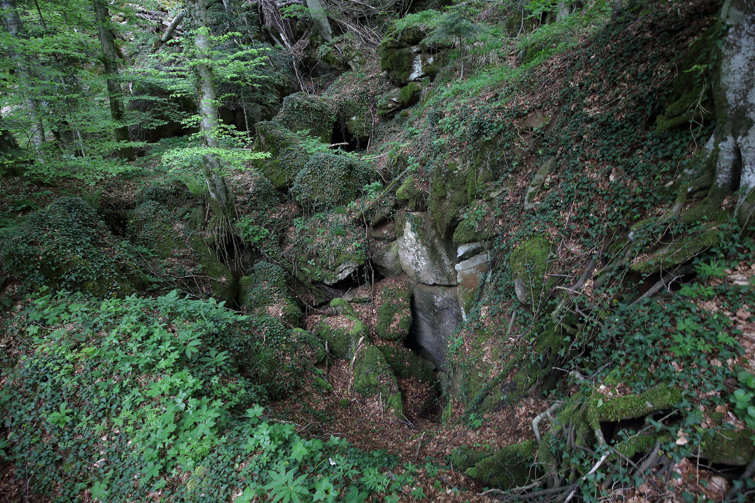Rocce che formano gli ultimi anfratti