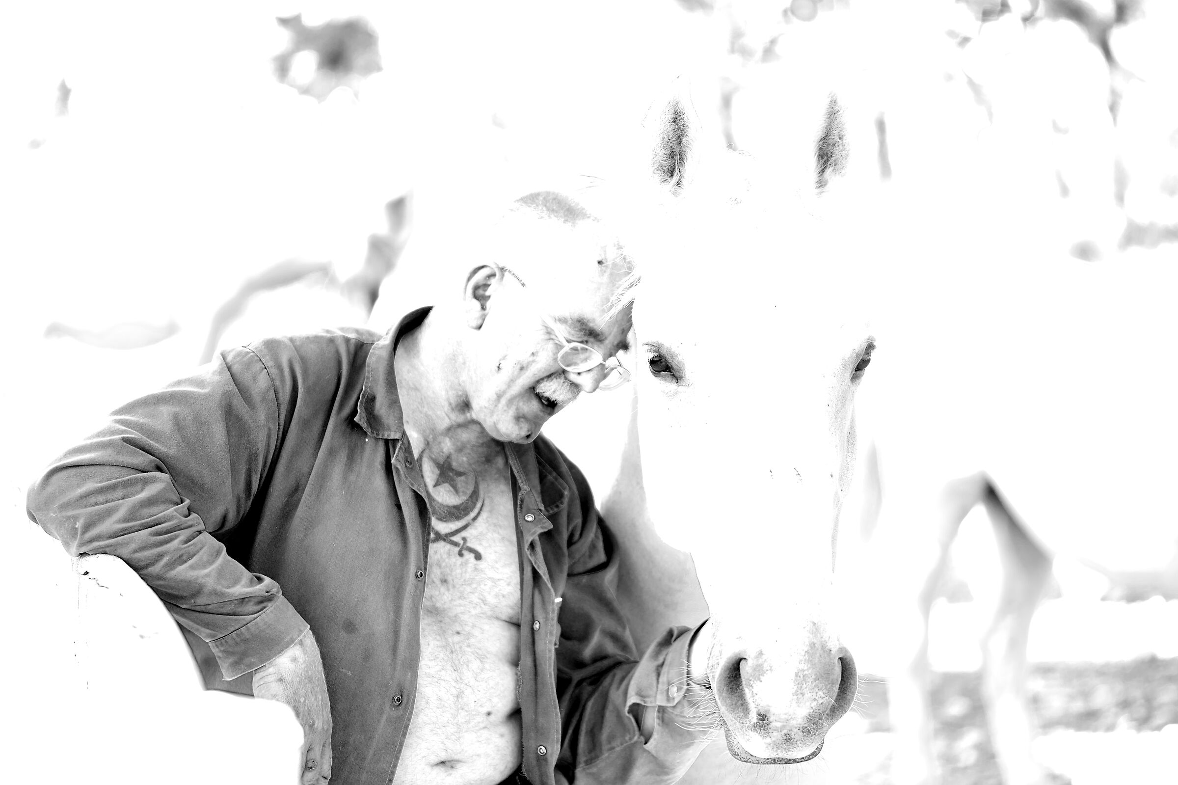 Hippotherapy