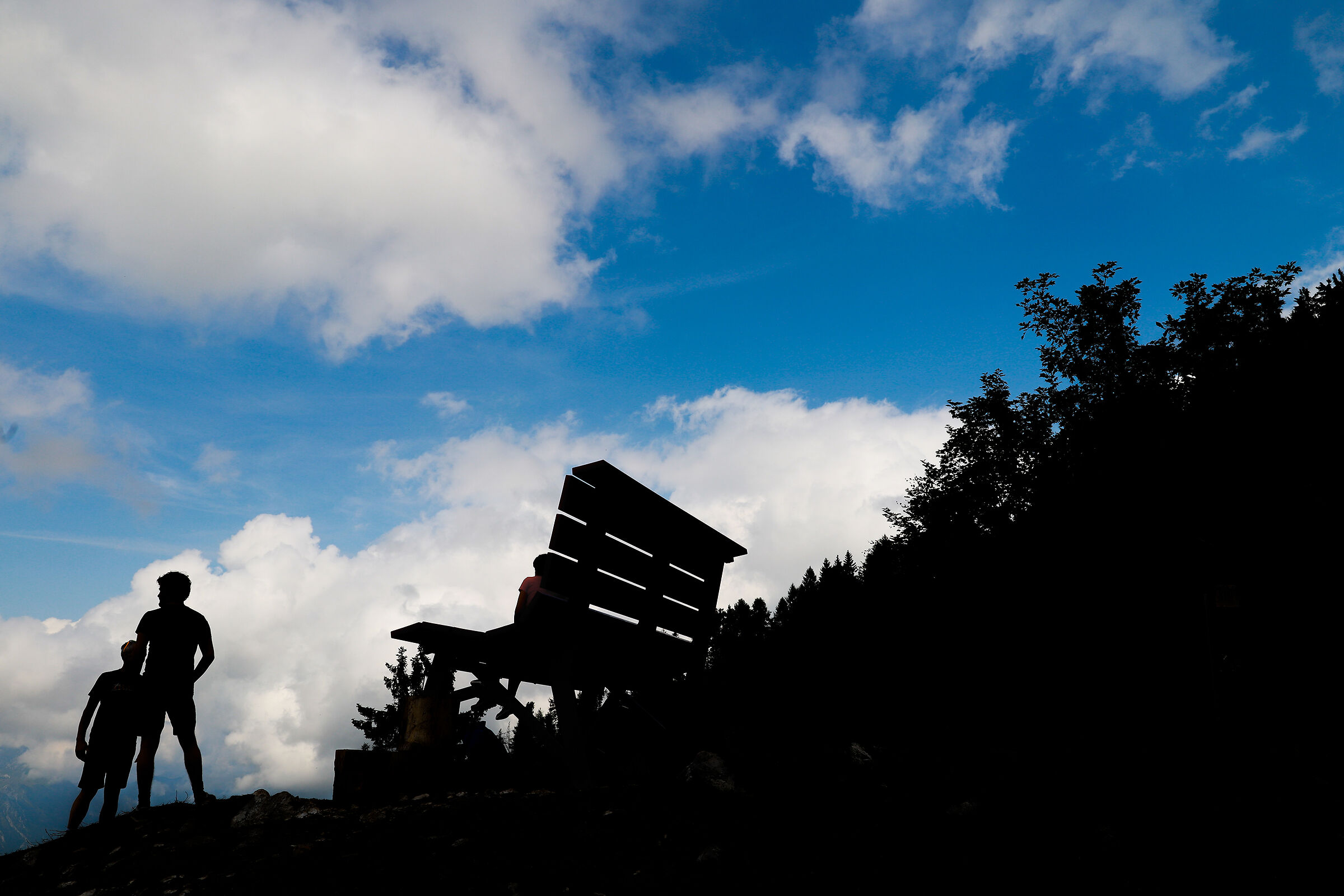 The Giant Bench