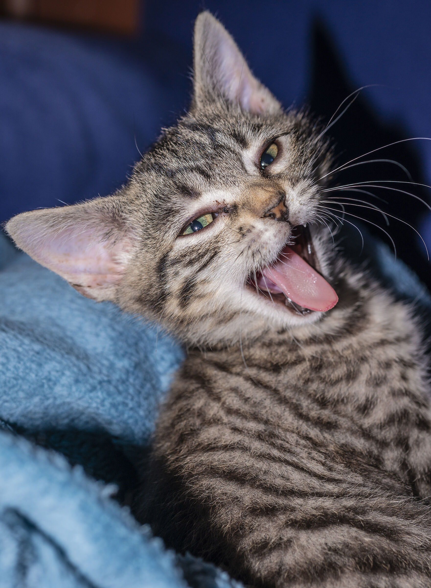 Can you bring me a coffee?