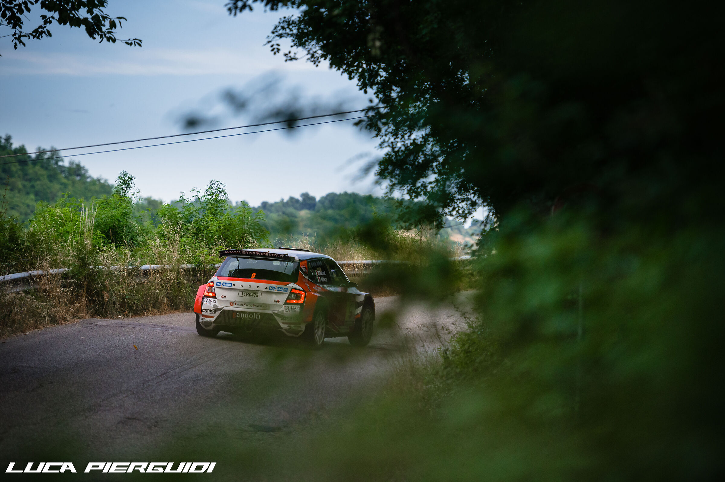 In mezzo alla foresta