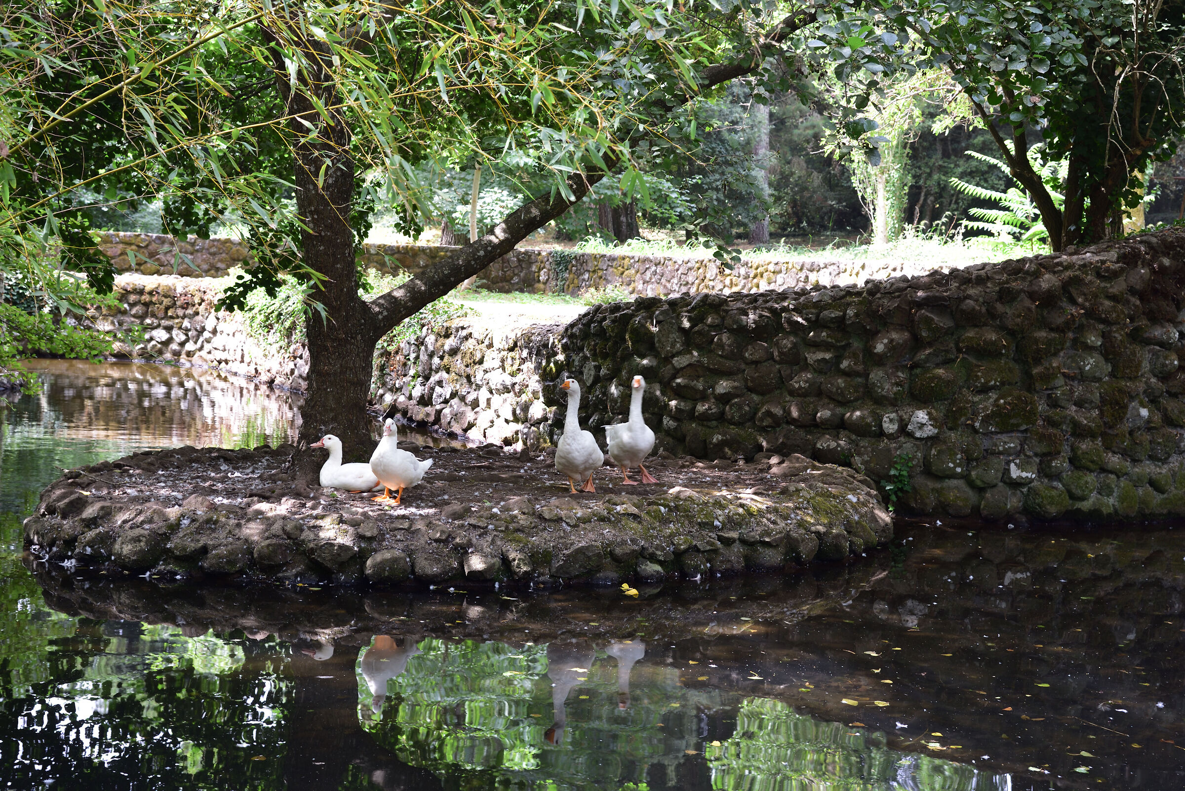 sorgenti di San Leonardo 2