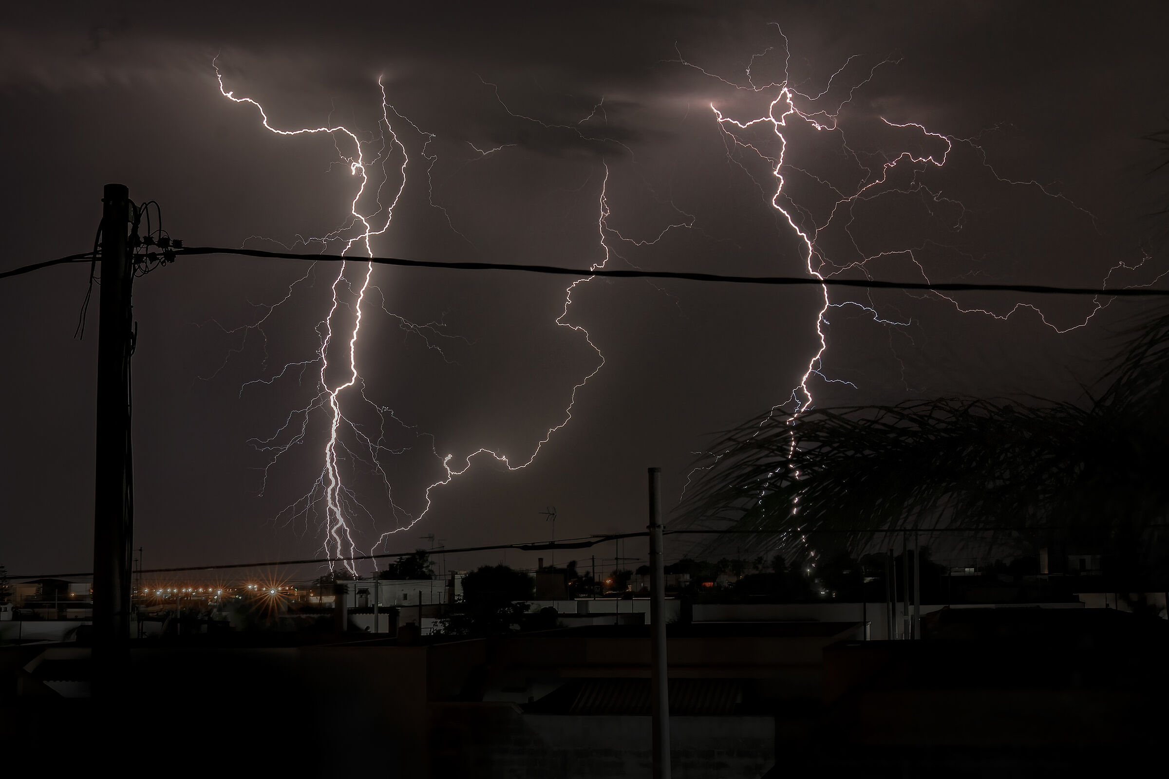 Si avvicina minaccioso