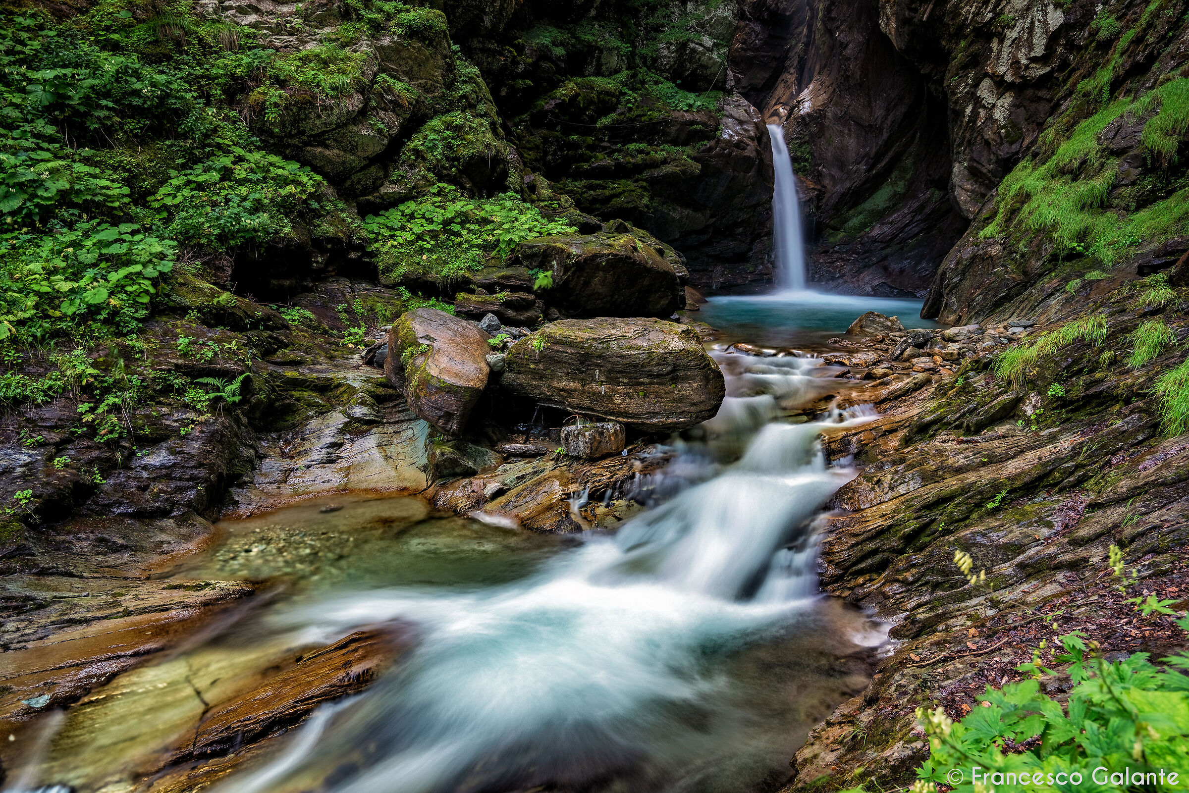 Boilers D'Otro - Alagna Valsesia 1