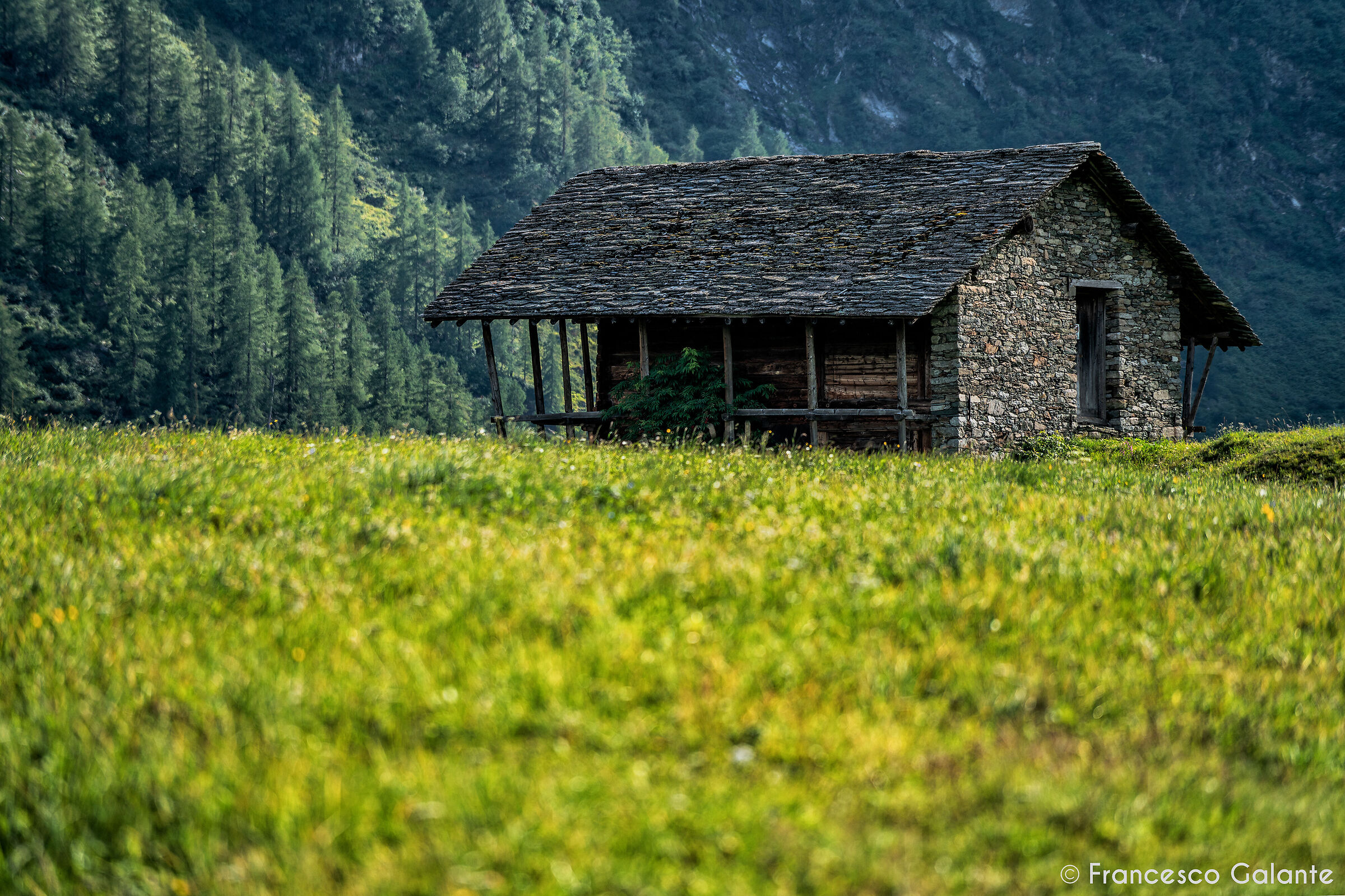 Val D'Otro - Alagna Valsesia 1