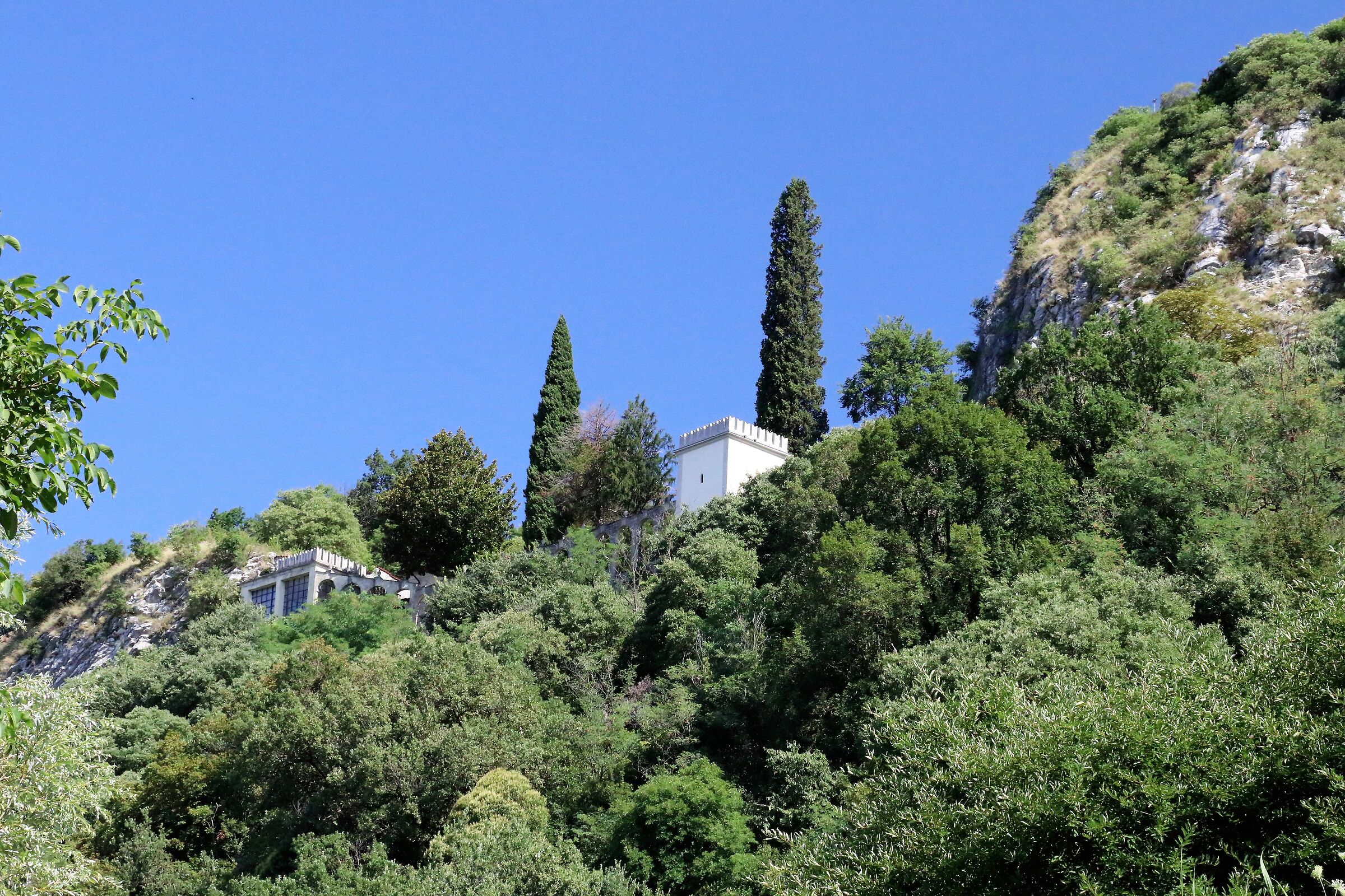 Valletta surrounded by greenery