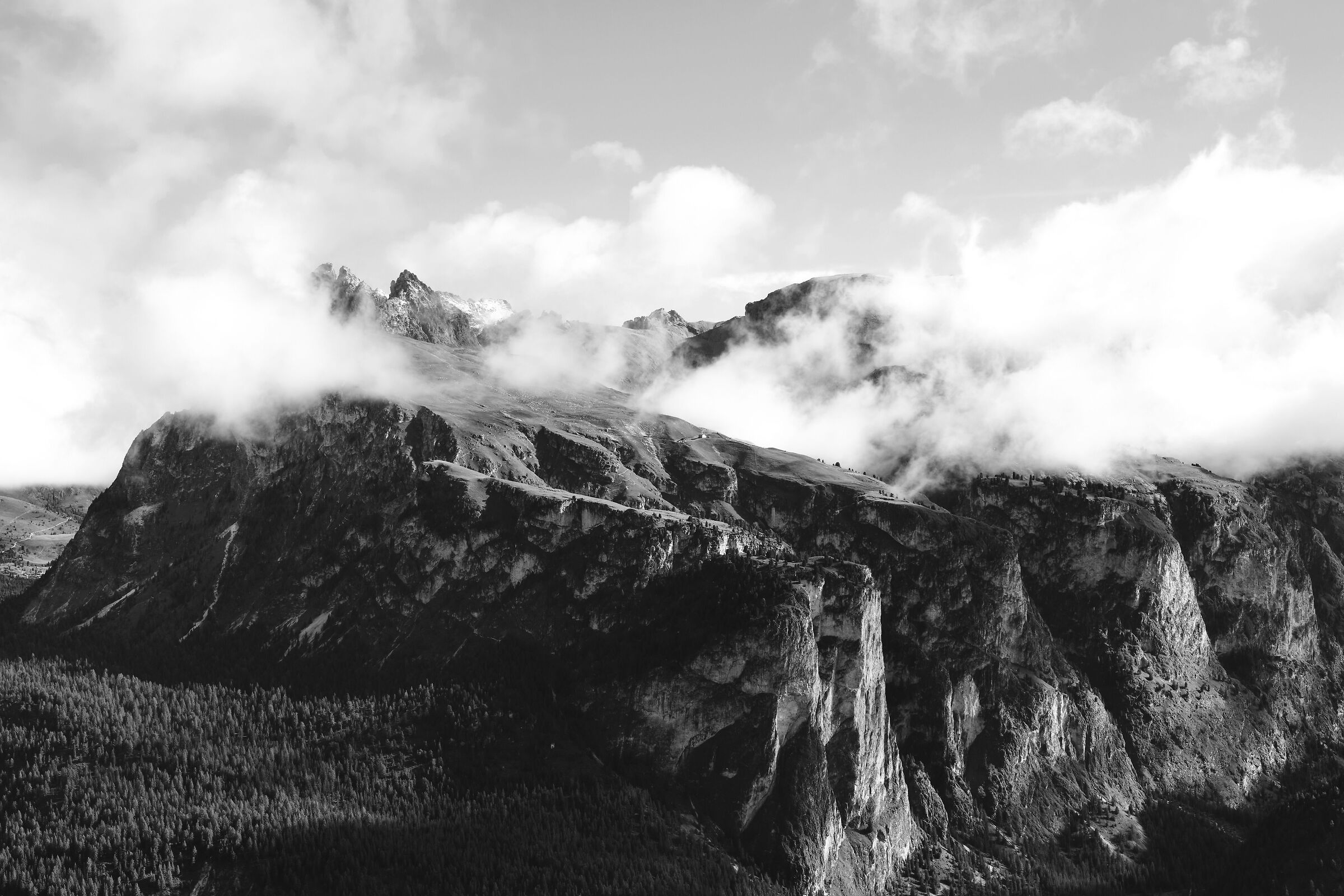 Lo Stevia riemerge dalle nubi notturne