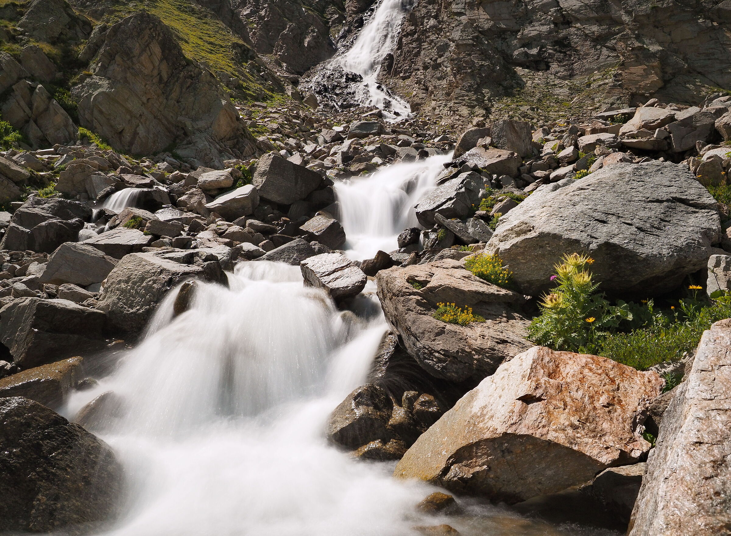 Gran Paradiso di nome e di fatto