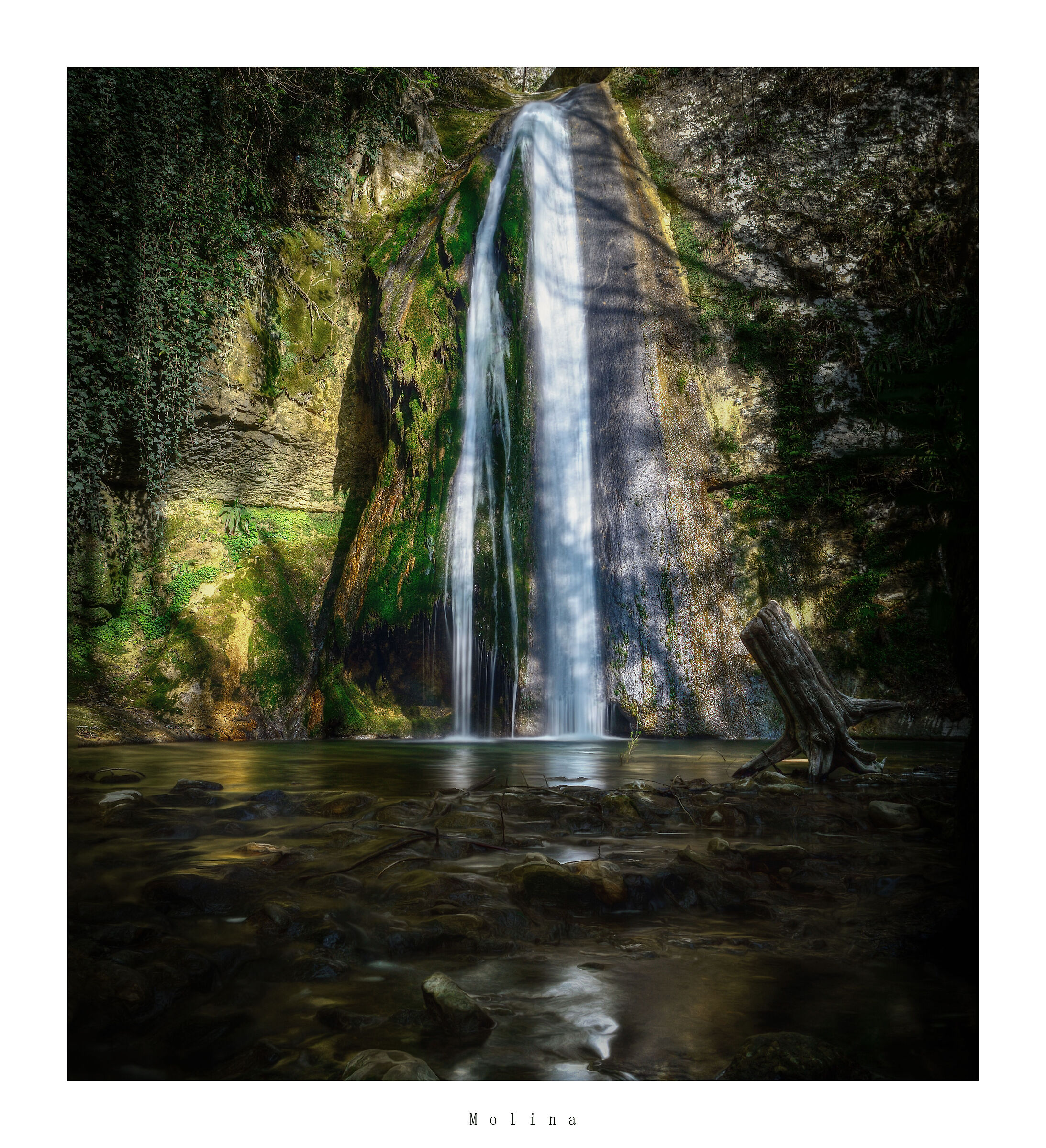 Molina
