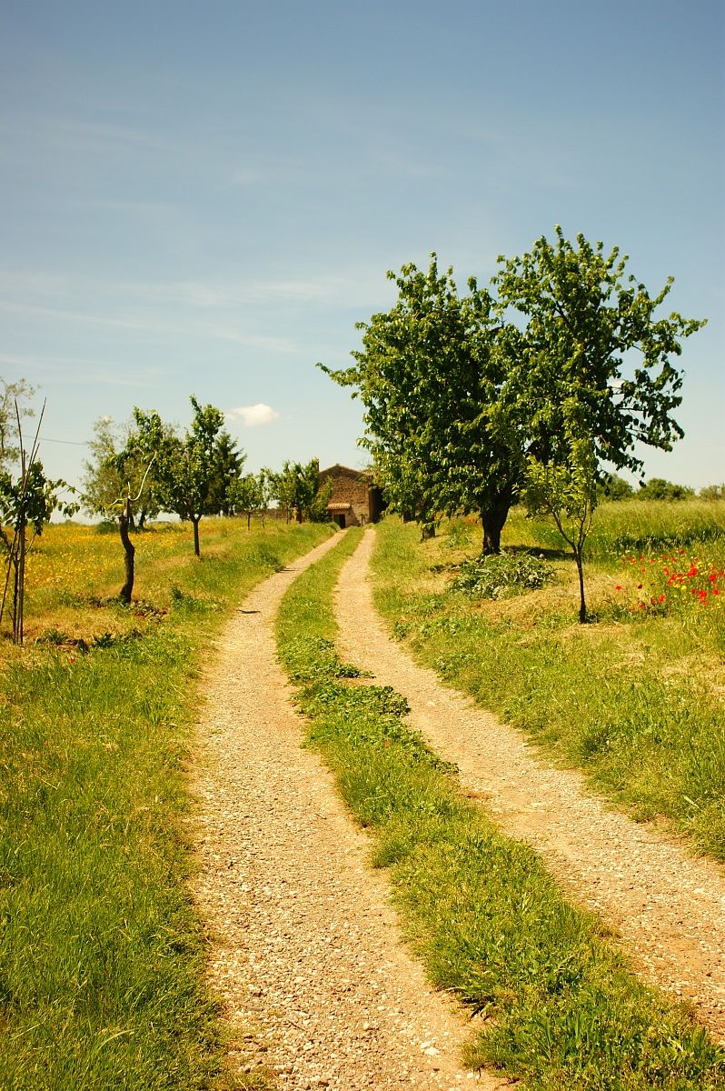 sentiero di campagna