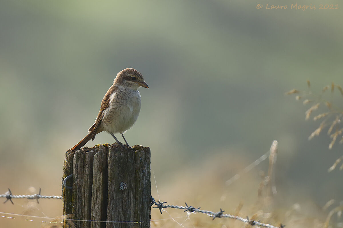 Having it thoughtfully