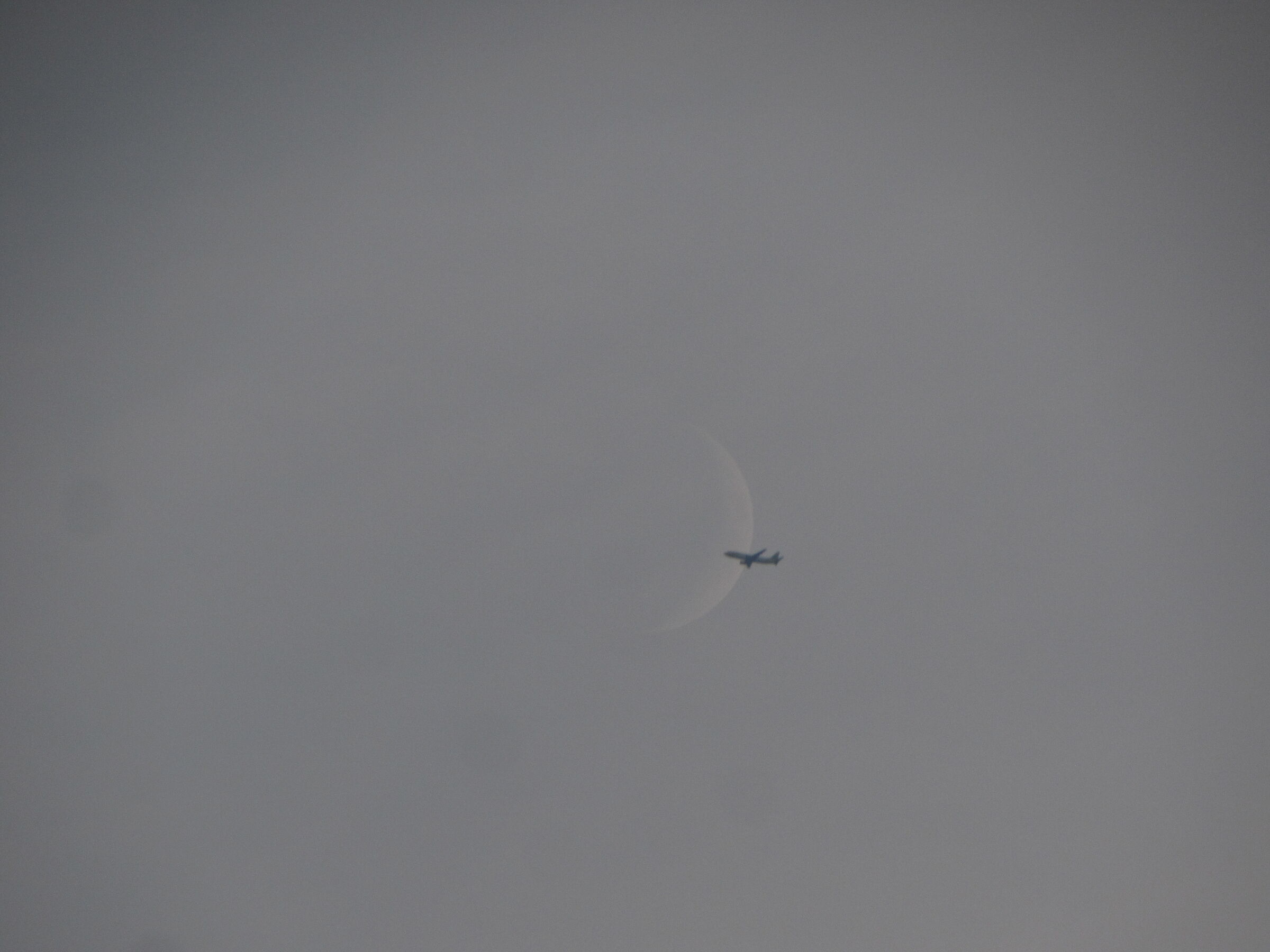 Aereo fly me to moon"