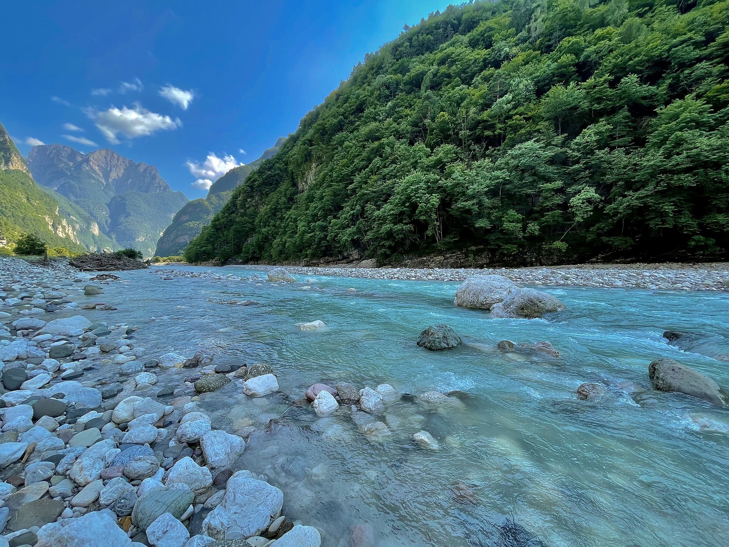 Sulla sponda del fiume Cordevole.