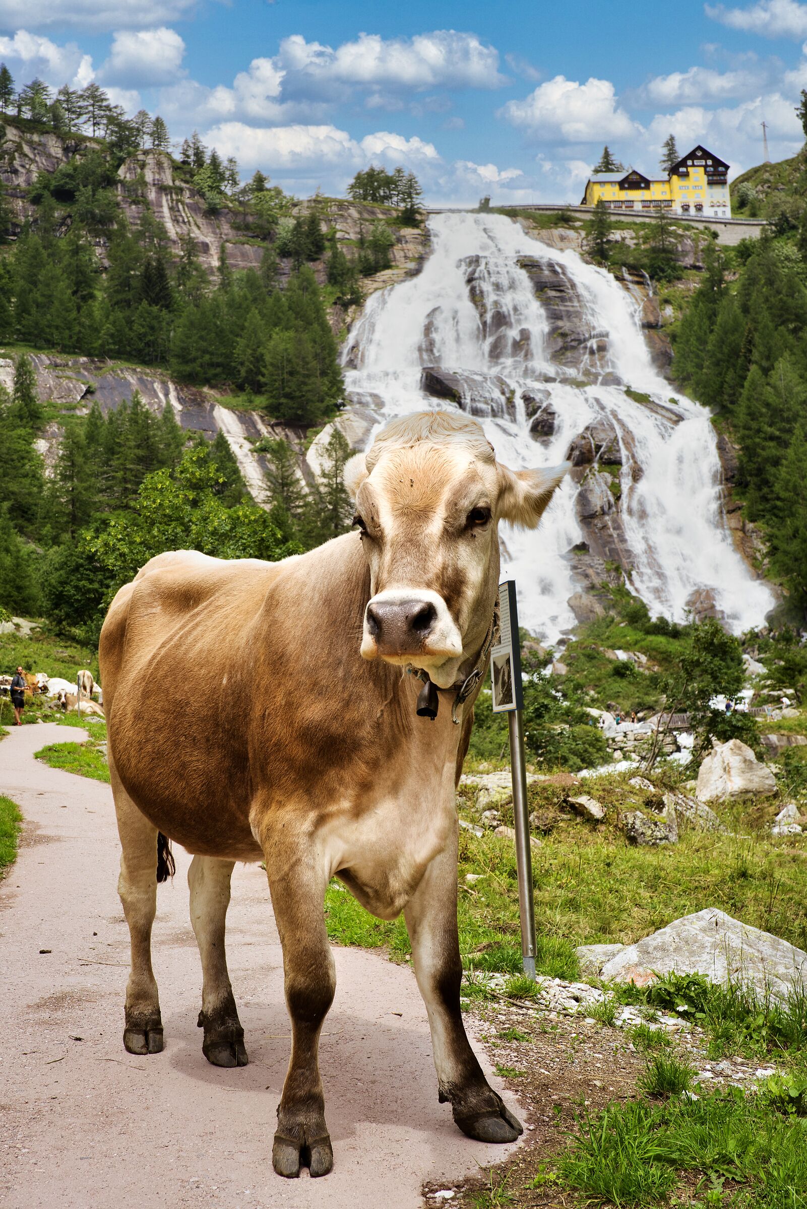 Un'insolita modella!