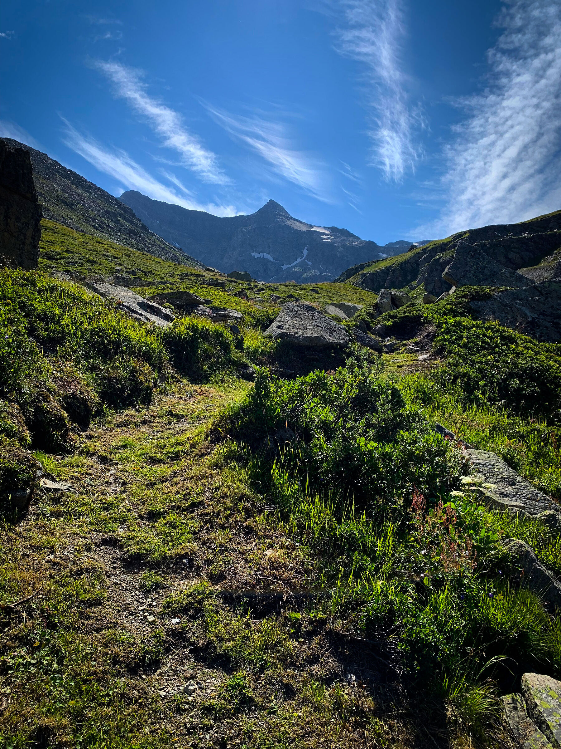 Near Serrù Lake (Gran Paradiso)