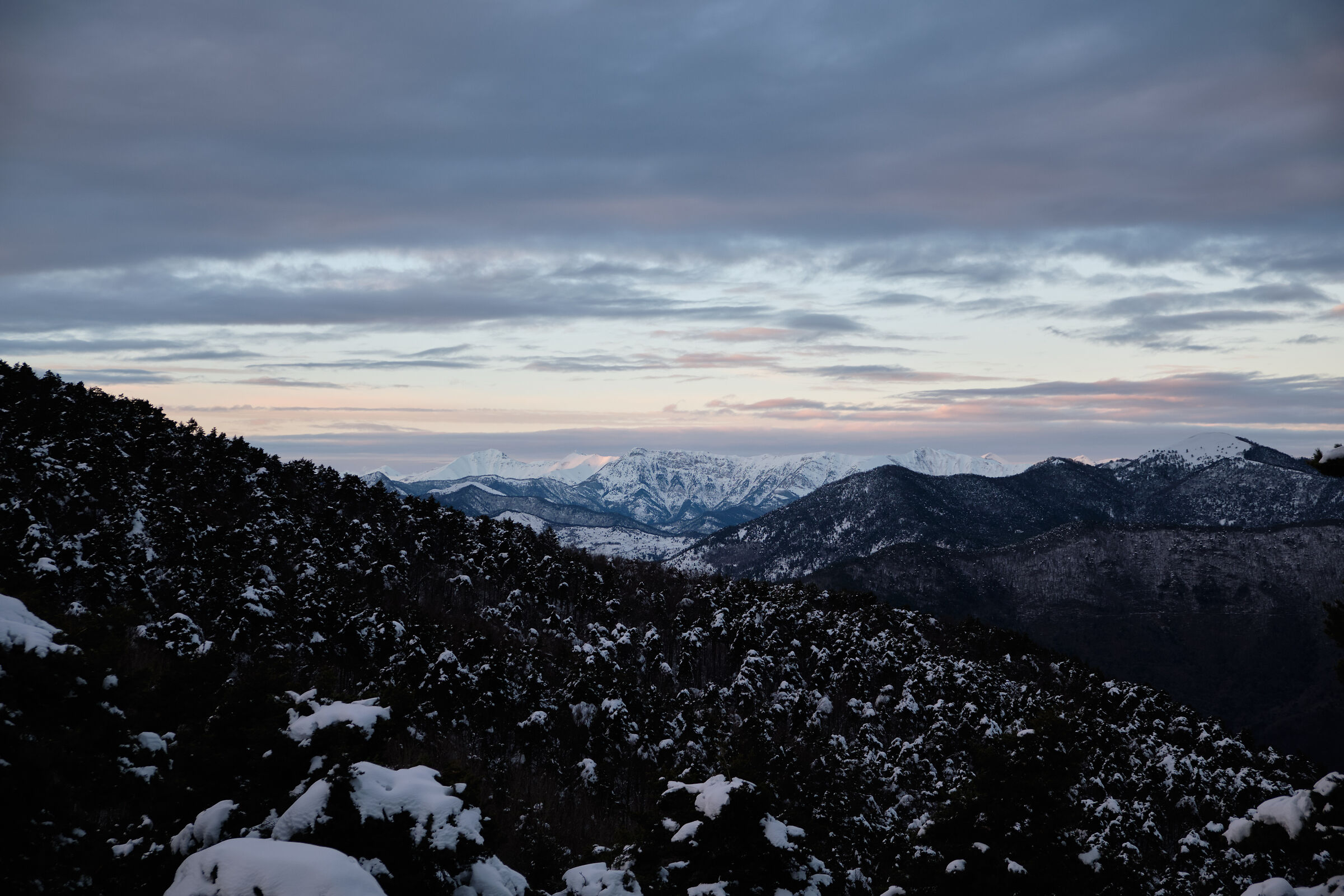 Winter evening