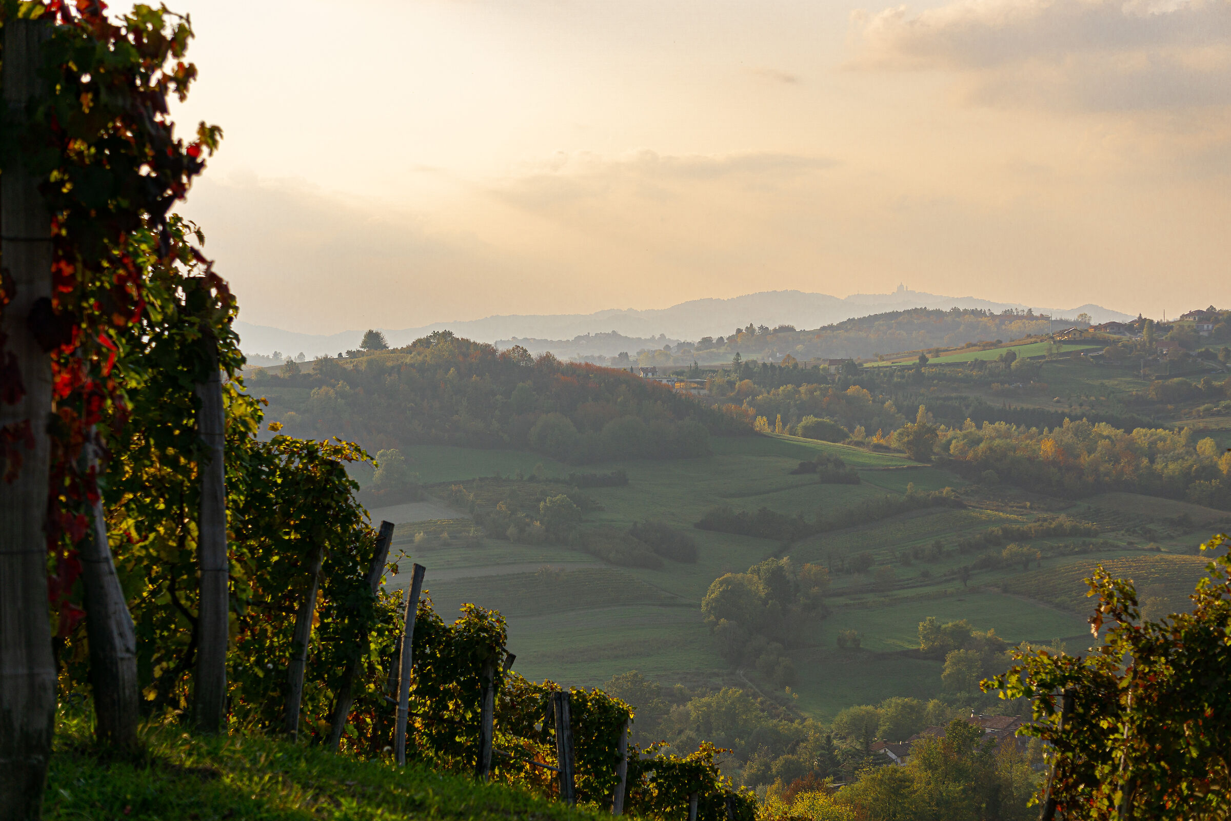 Panorama rinascimentale