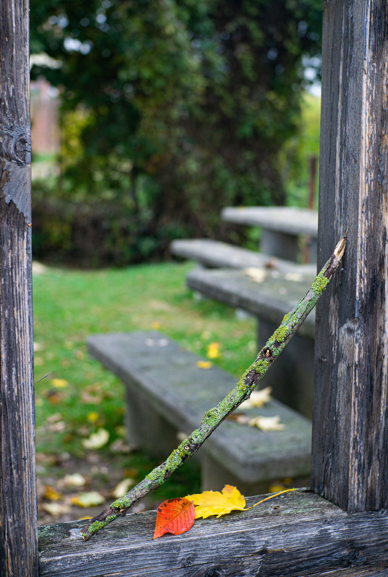 Composizione autunnale