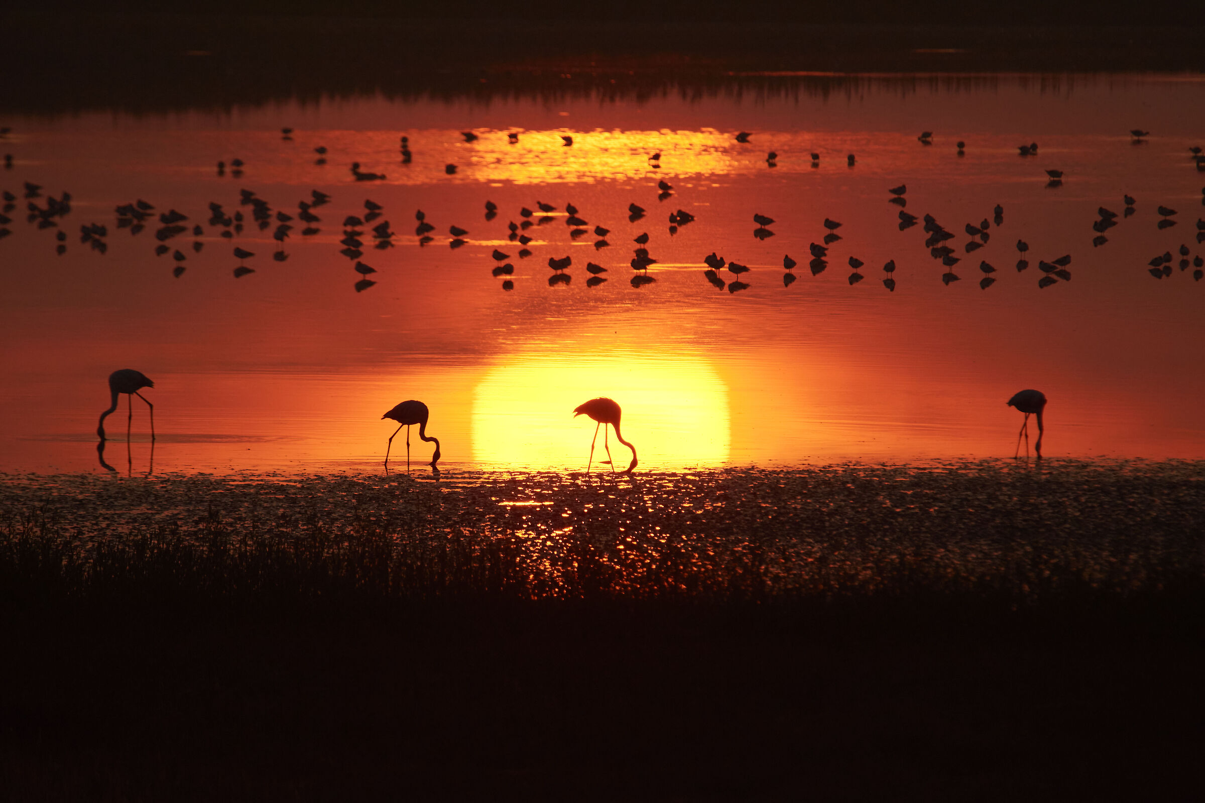 Sunrise to Zavelea 2