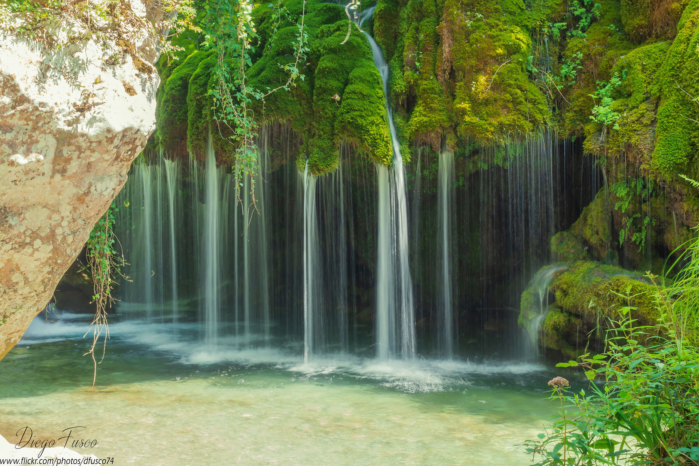 Cascate capelli di Venere