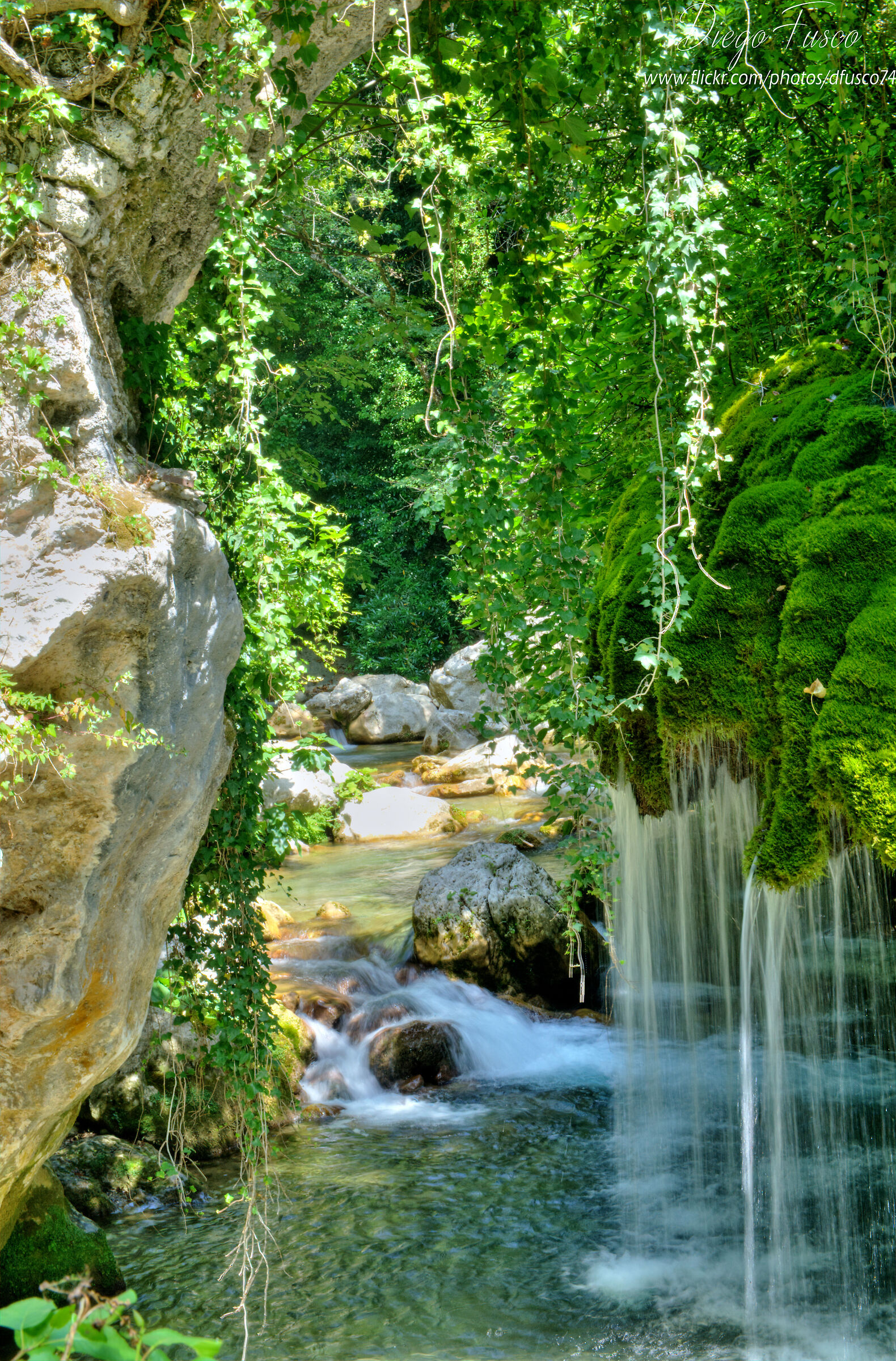 Cascate capelli di Venere_3