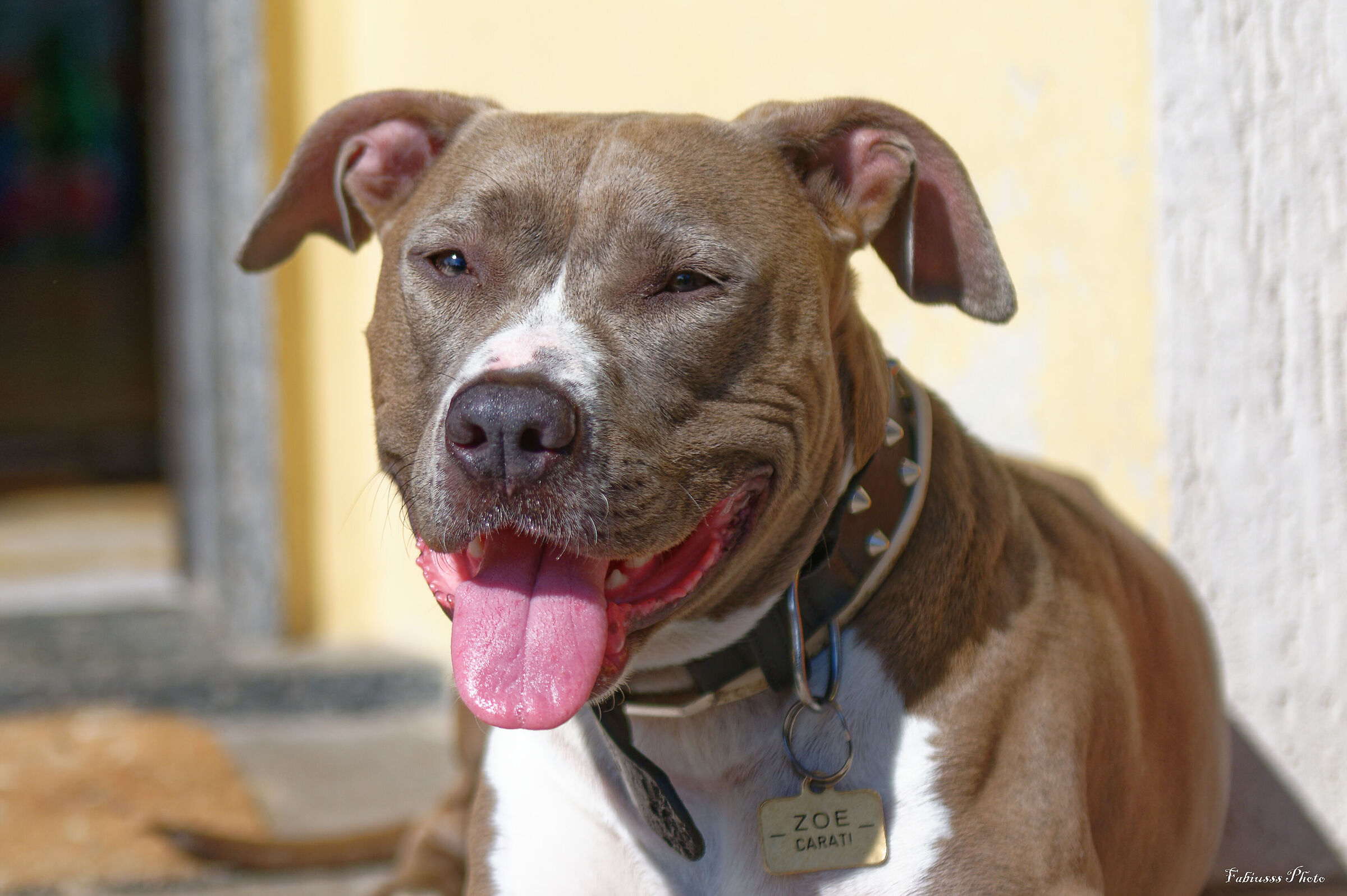 Eccomi.... sono zoe!