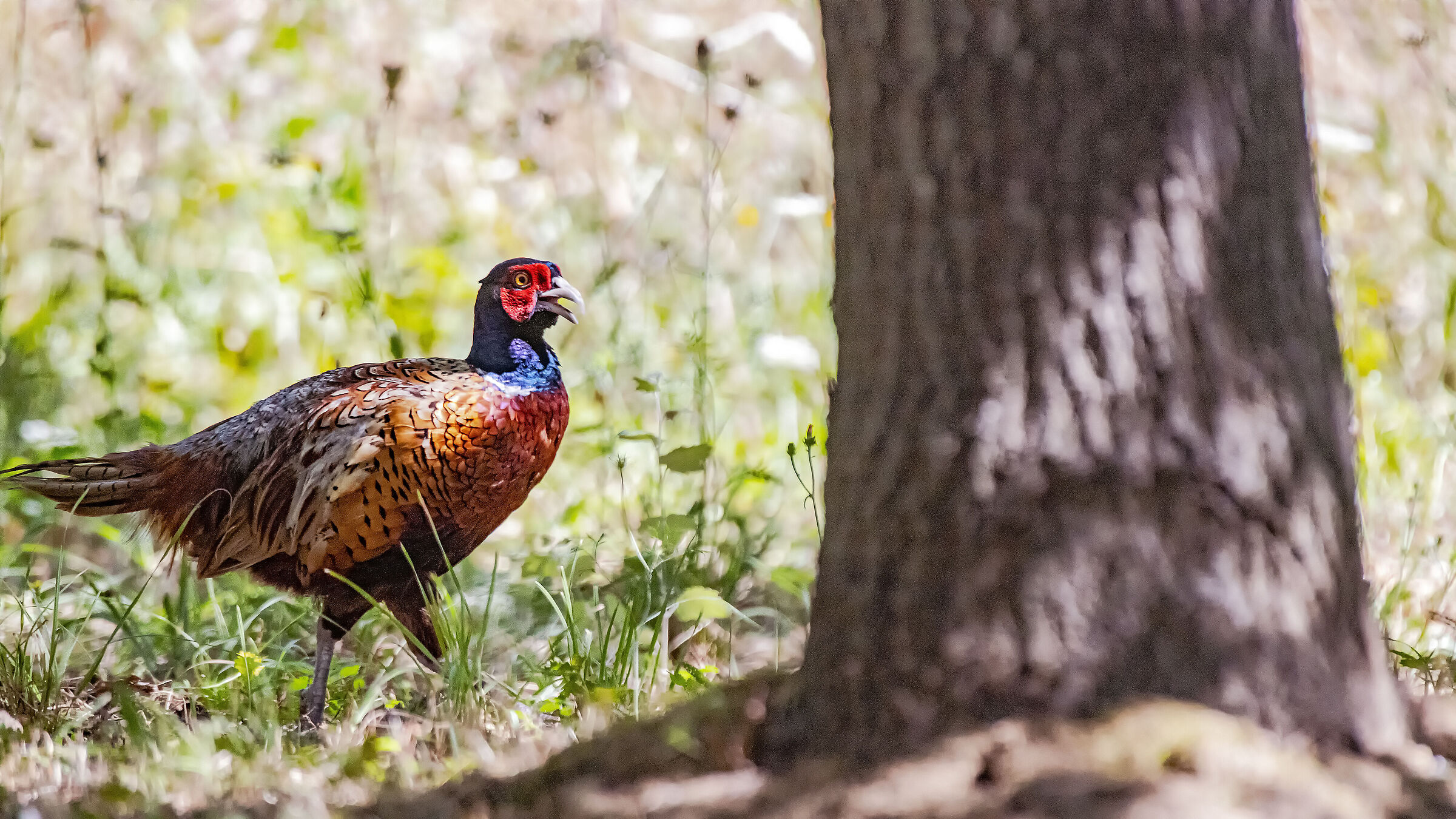 I've already told you, MOVE!!!