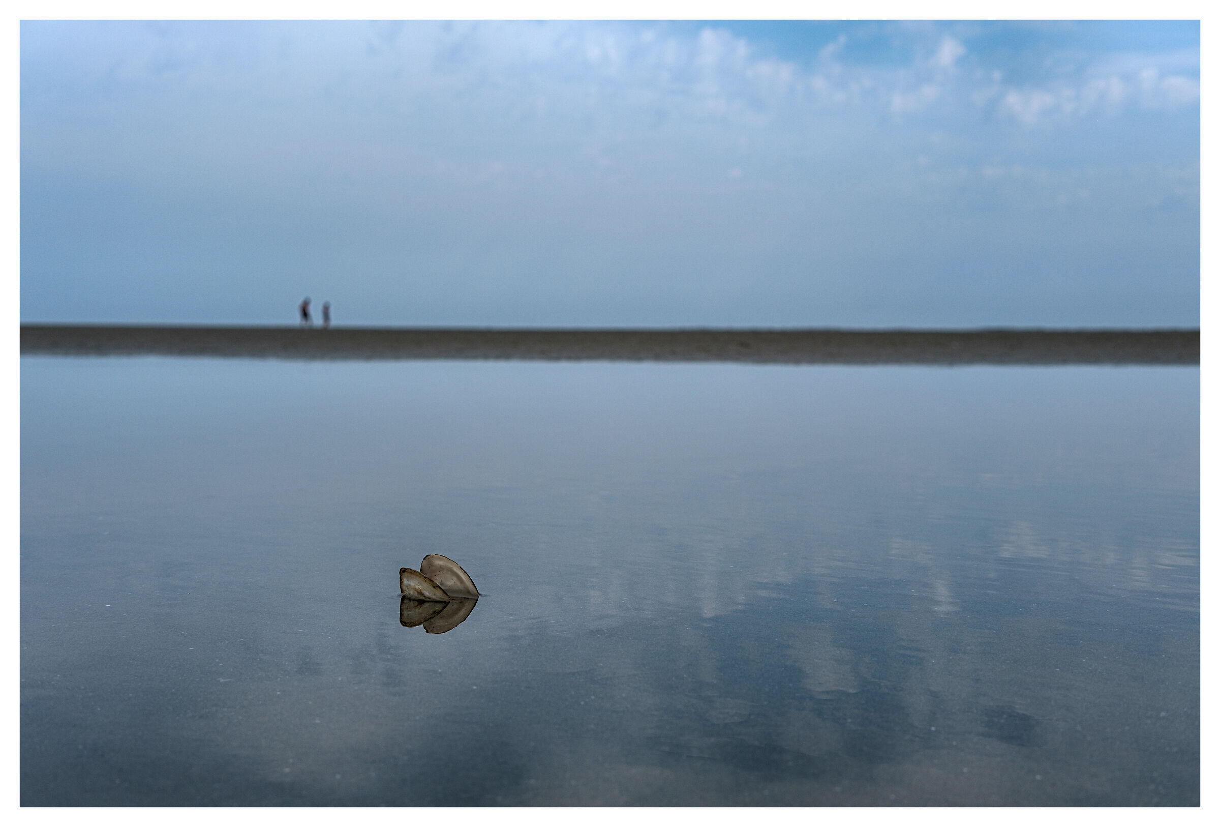 Speculazione sull'assenza
