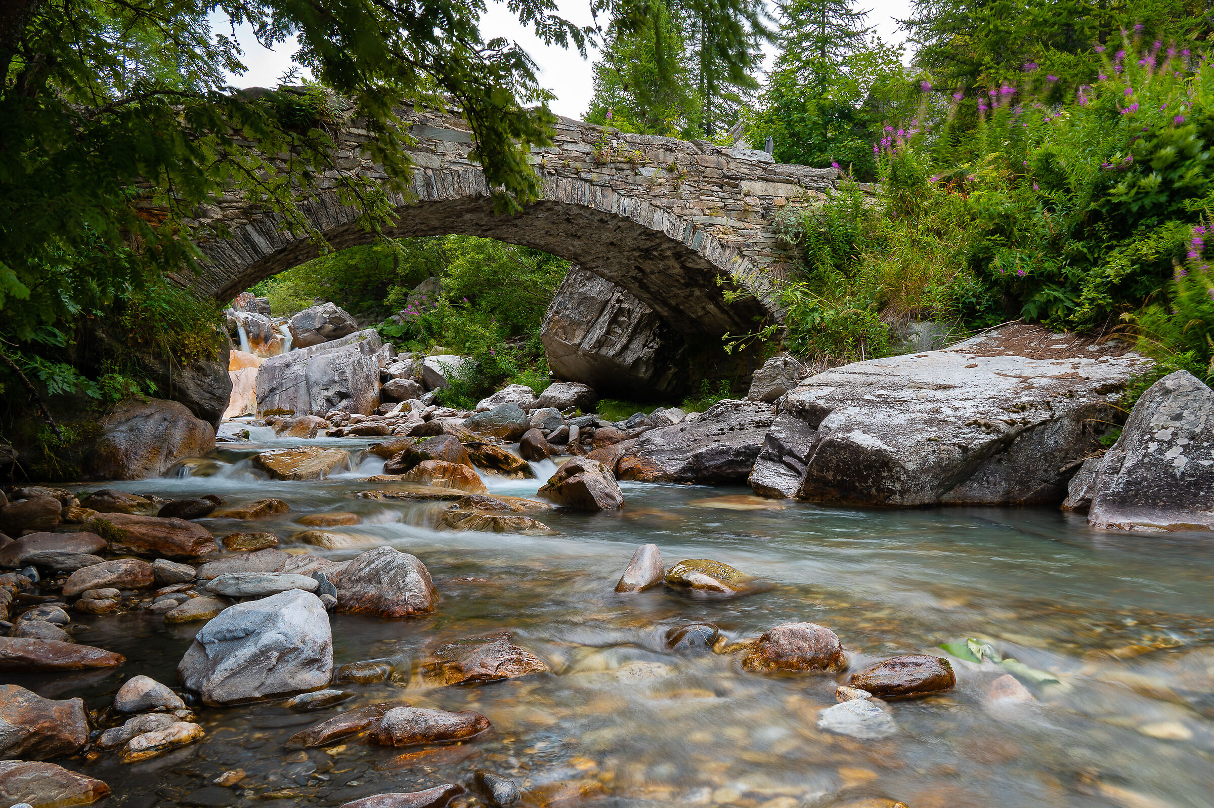 Pelvo Bridge
