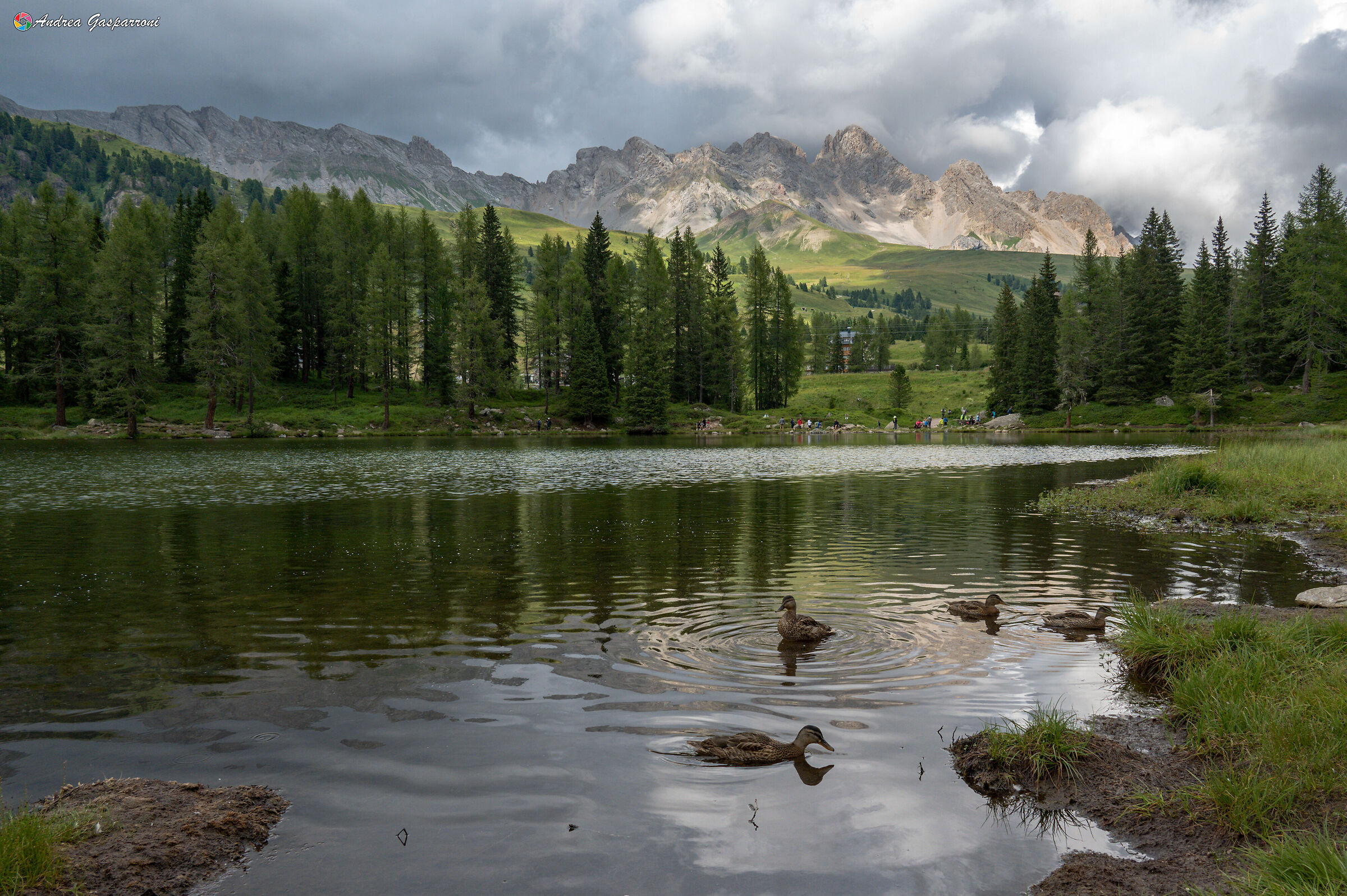 Lago di San Pellegrino all'omonimo Passo