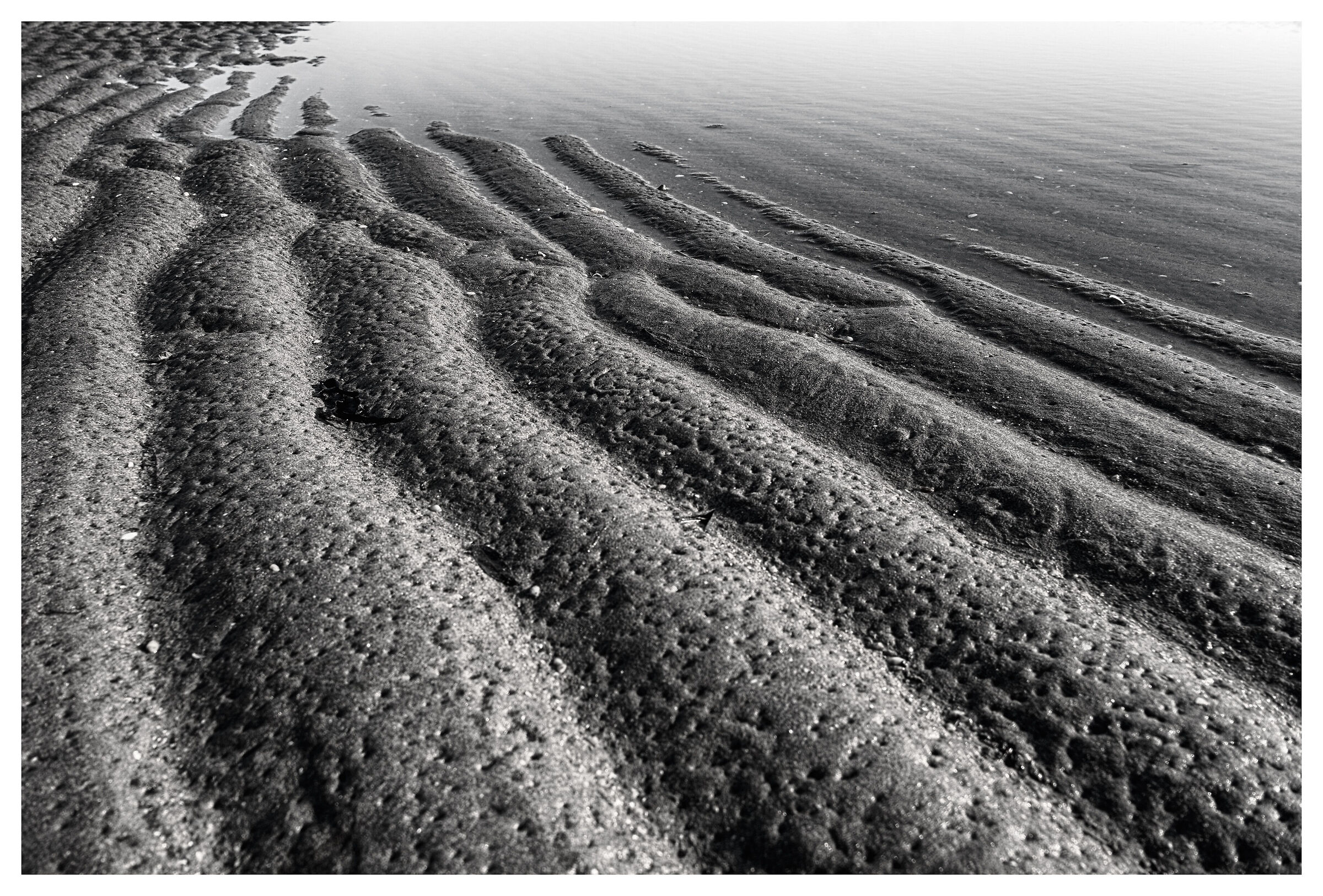 The harmony of movement