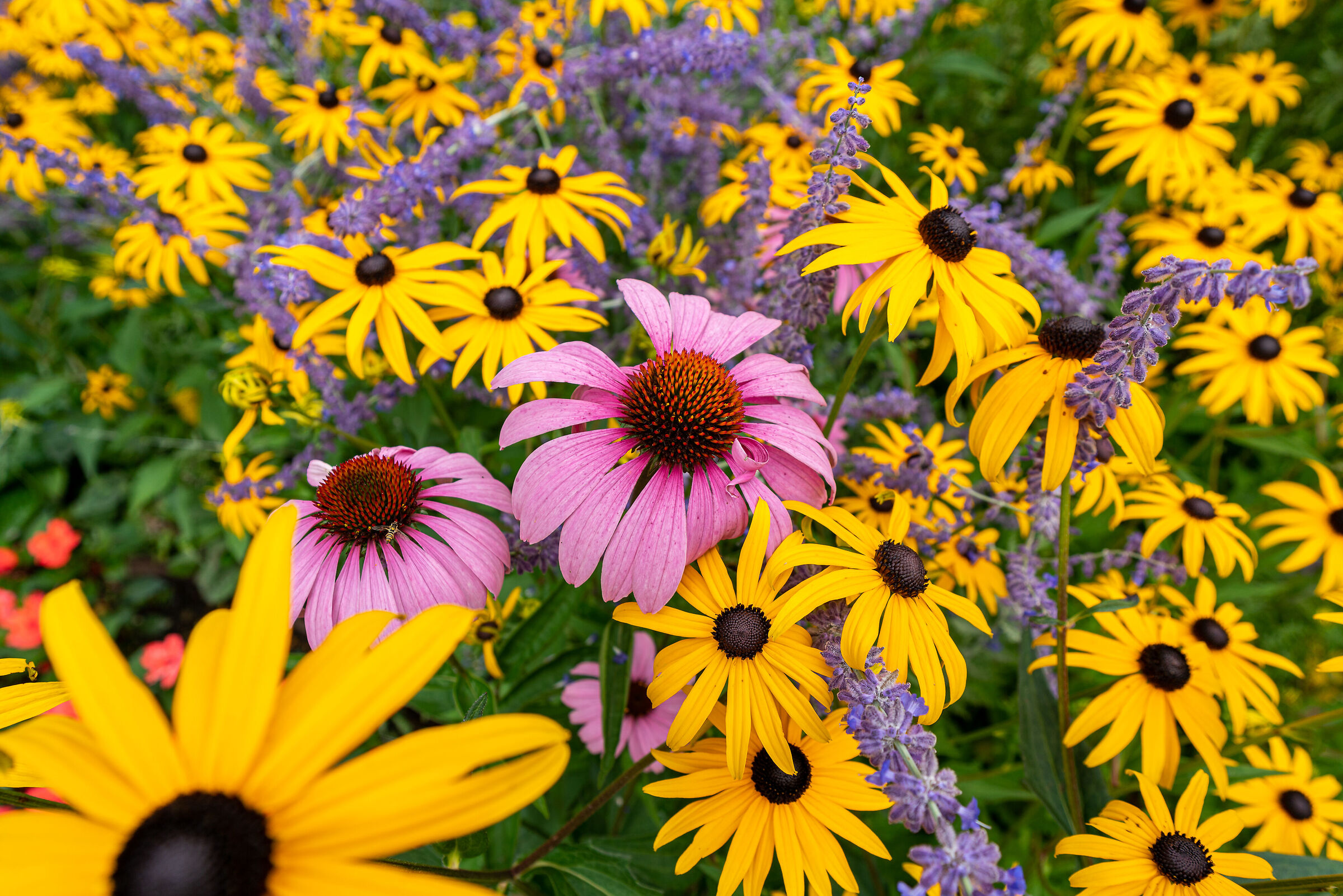 I colori della natura