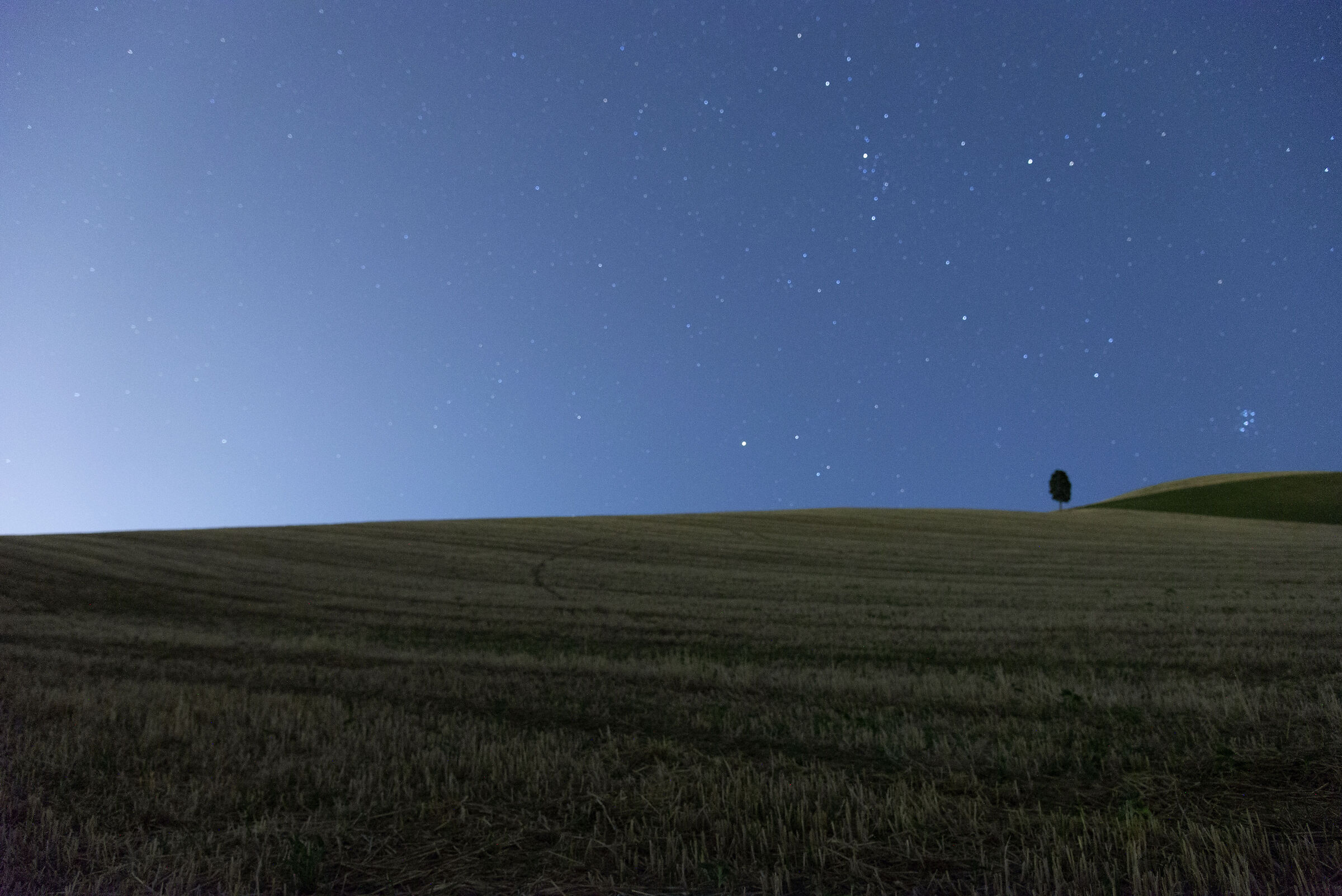 " Stars in the Night "