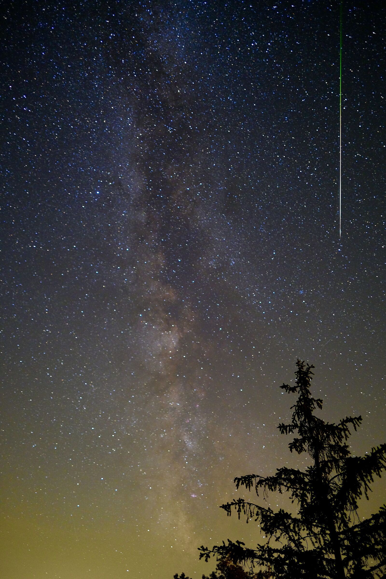 The star that falls on the pine...