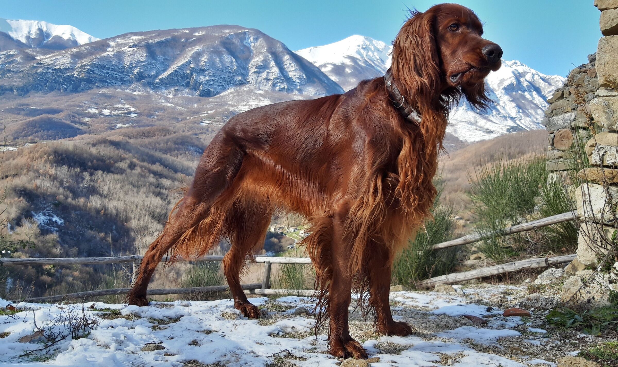 Morino vecchio (Monte Viglio)