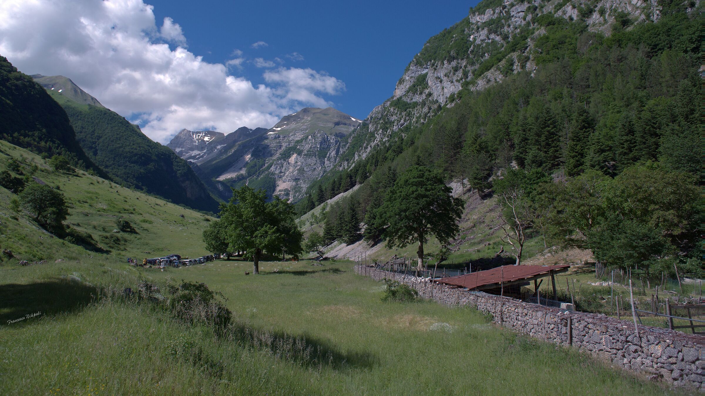 Happy Mid-August to all :-)