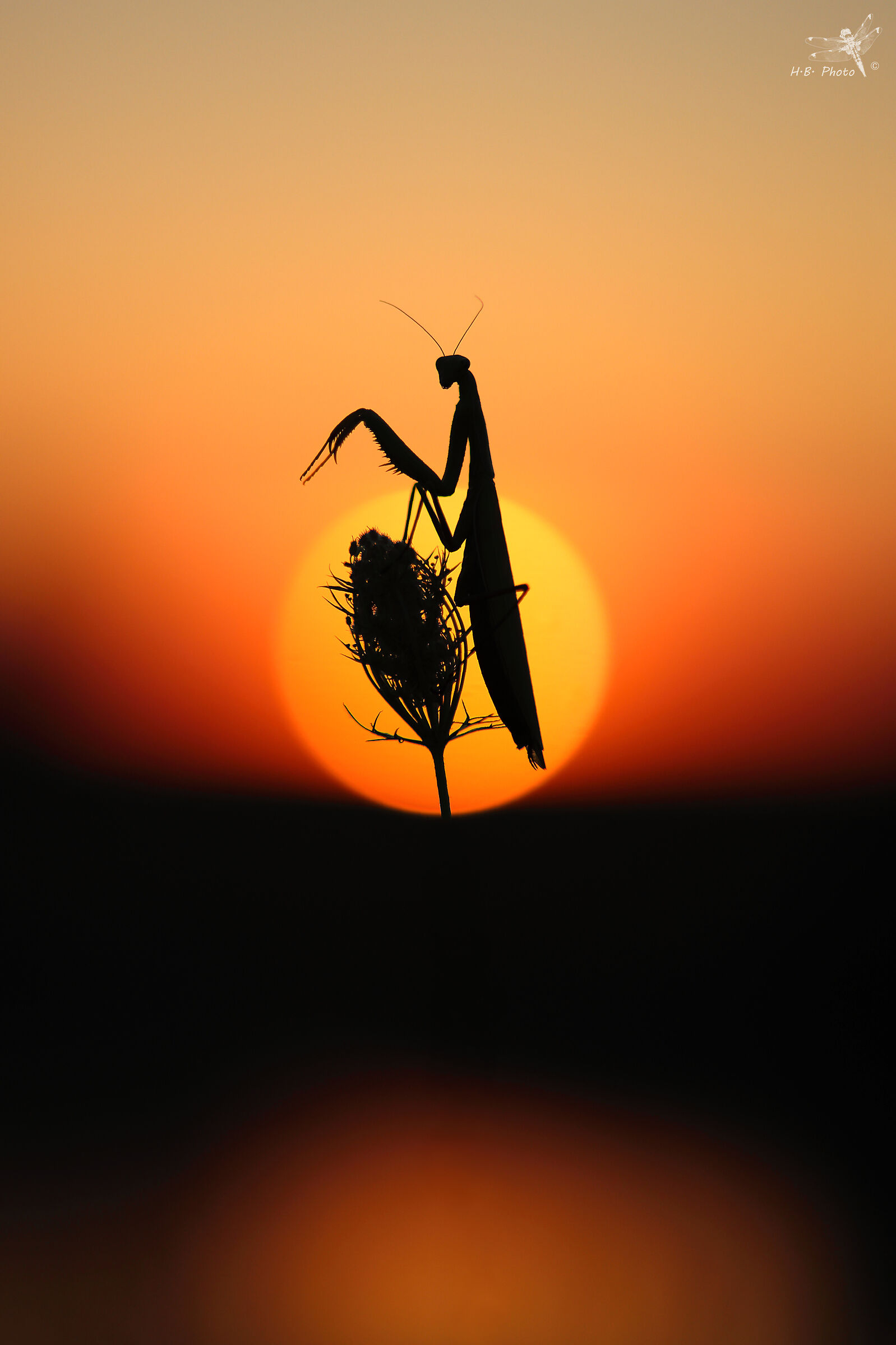 Benvenuto del giorno