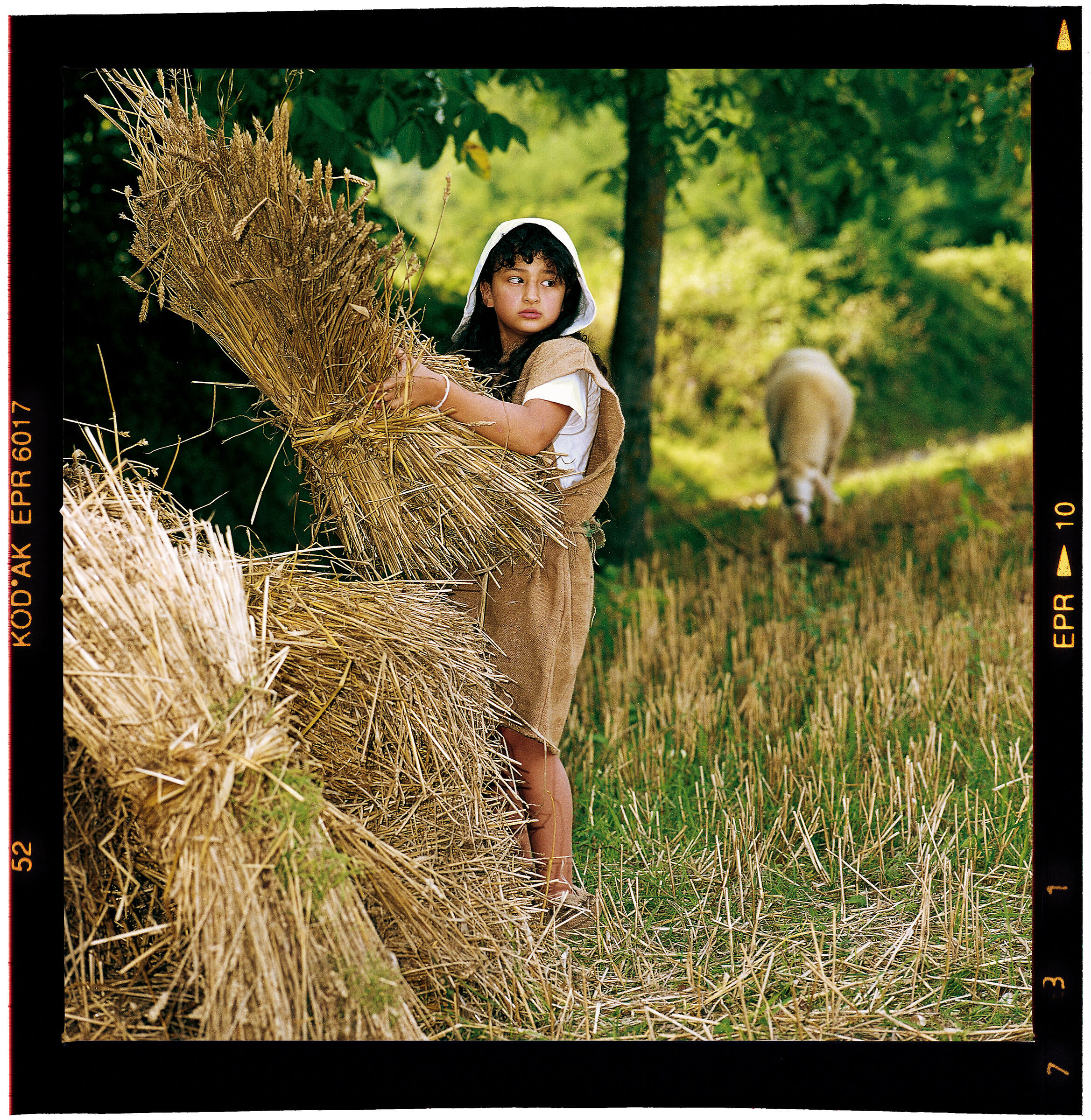Antica Contadina foto pellicola 1985