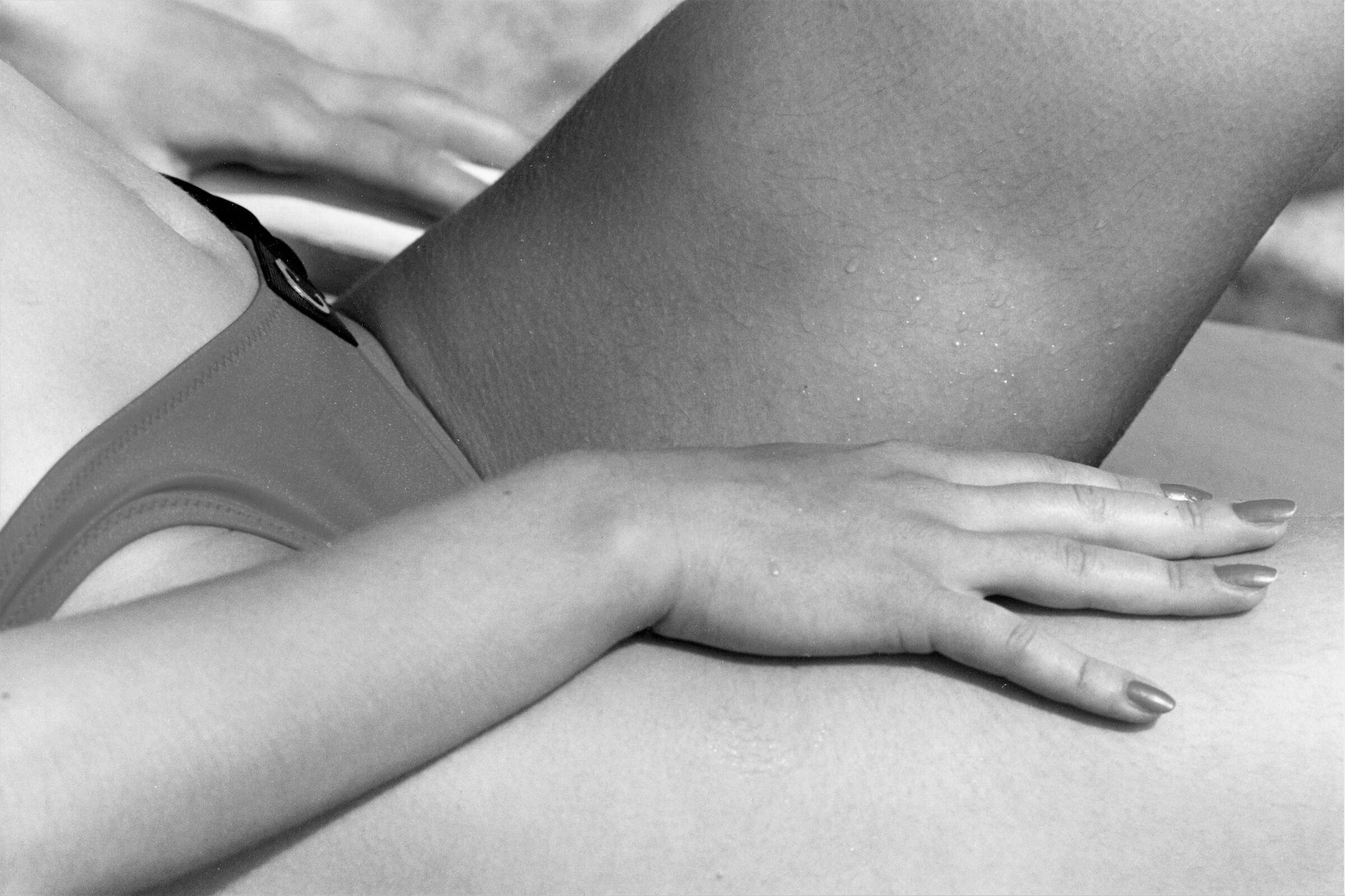 Estate nel particolare.