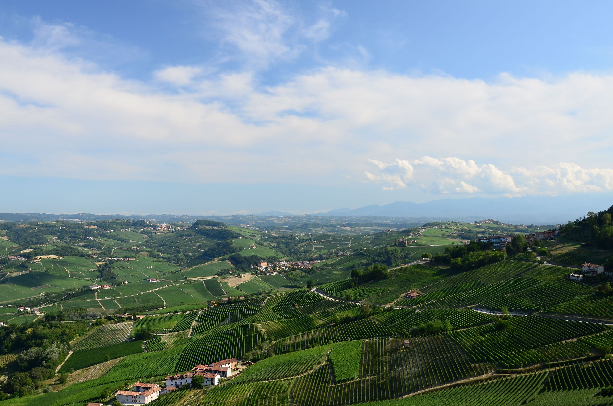 Panorama of the Langhe from the Belvedere