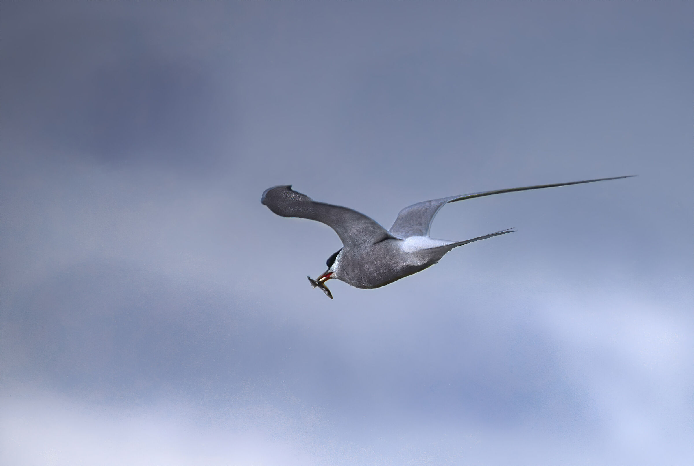 Return from fishing