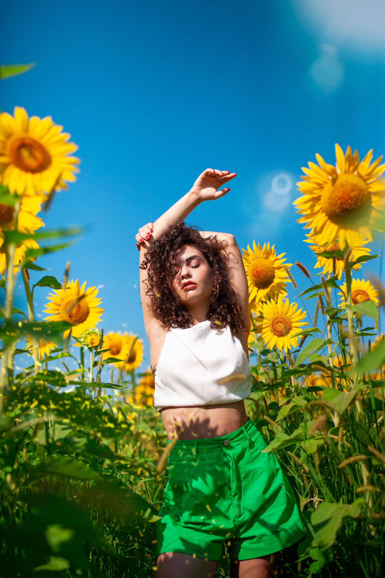 Girasoli